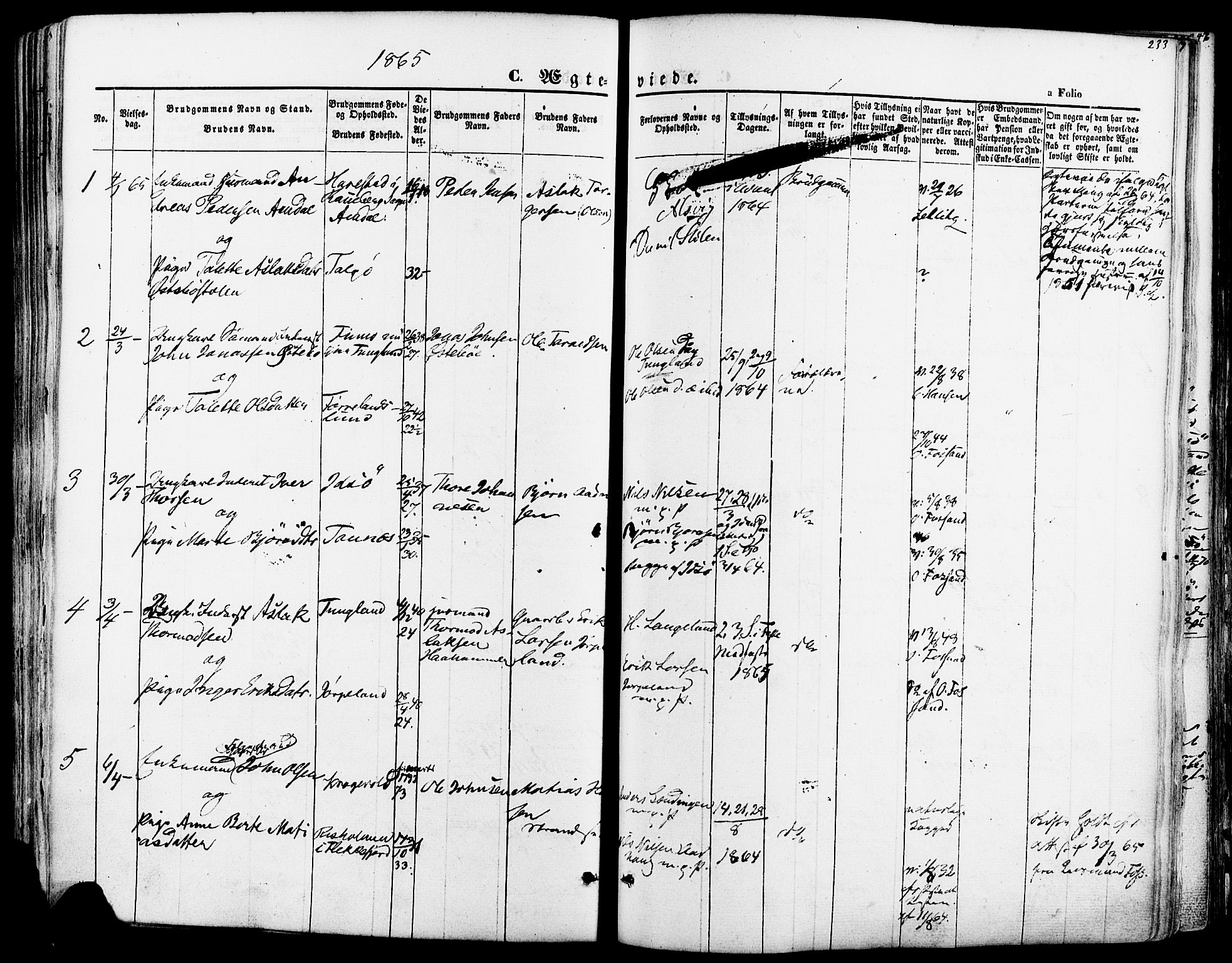 Strand sokneprestkontor, AV/SAST-A-101828/H/Ha/Haa/L0007: Parish register (official) no. A 7, 1855-1881, p. 233