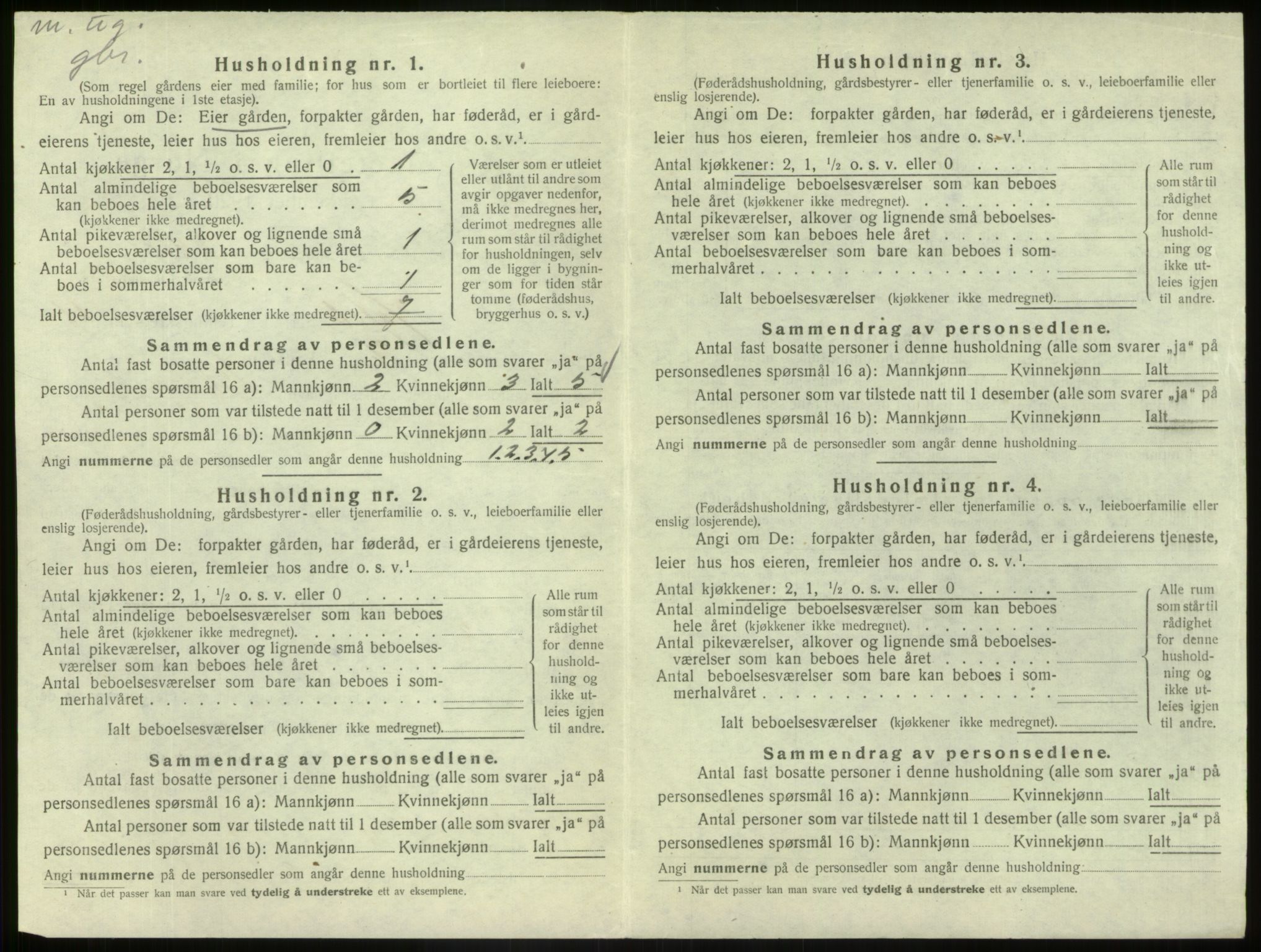 SAB, 1920 census for Hafslo, 1920, p. 536