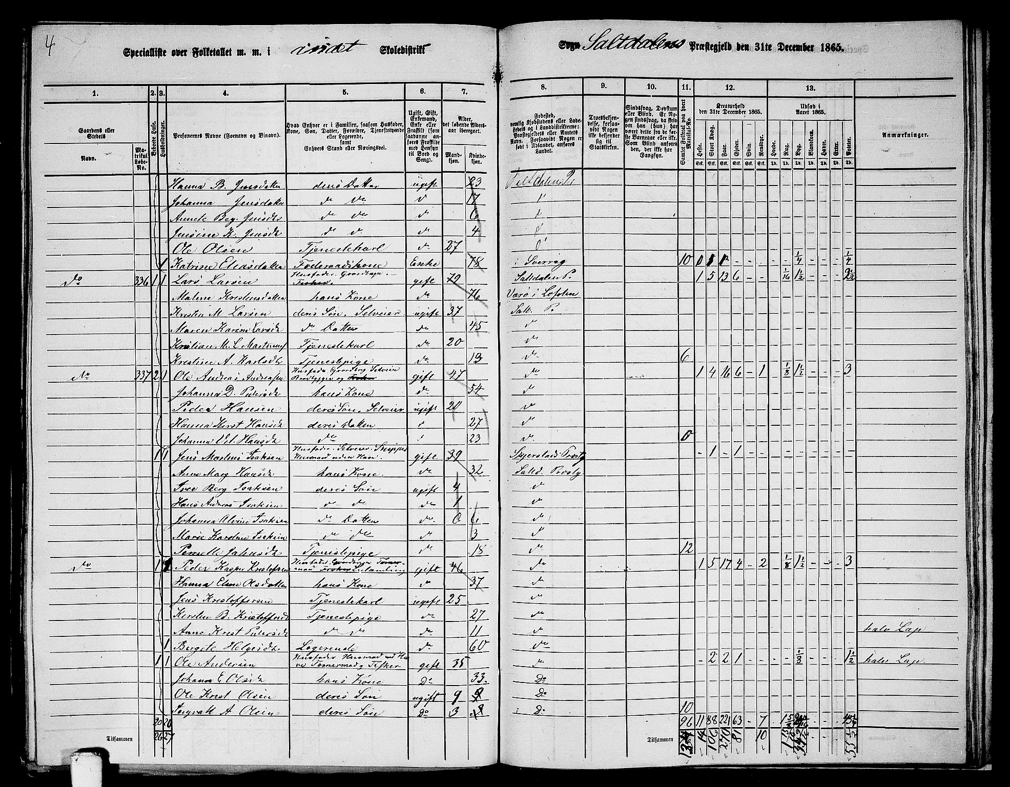 RA, 1865 census for Saltdal, 1865, p. 45