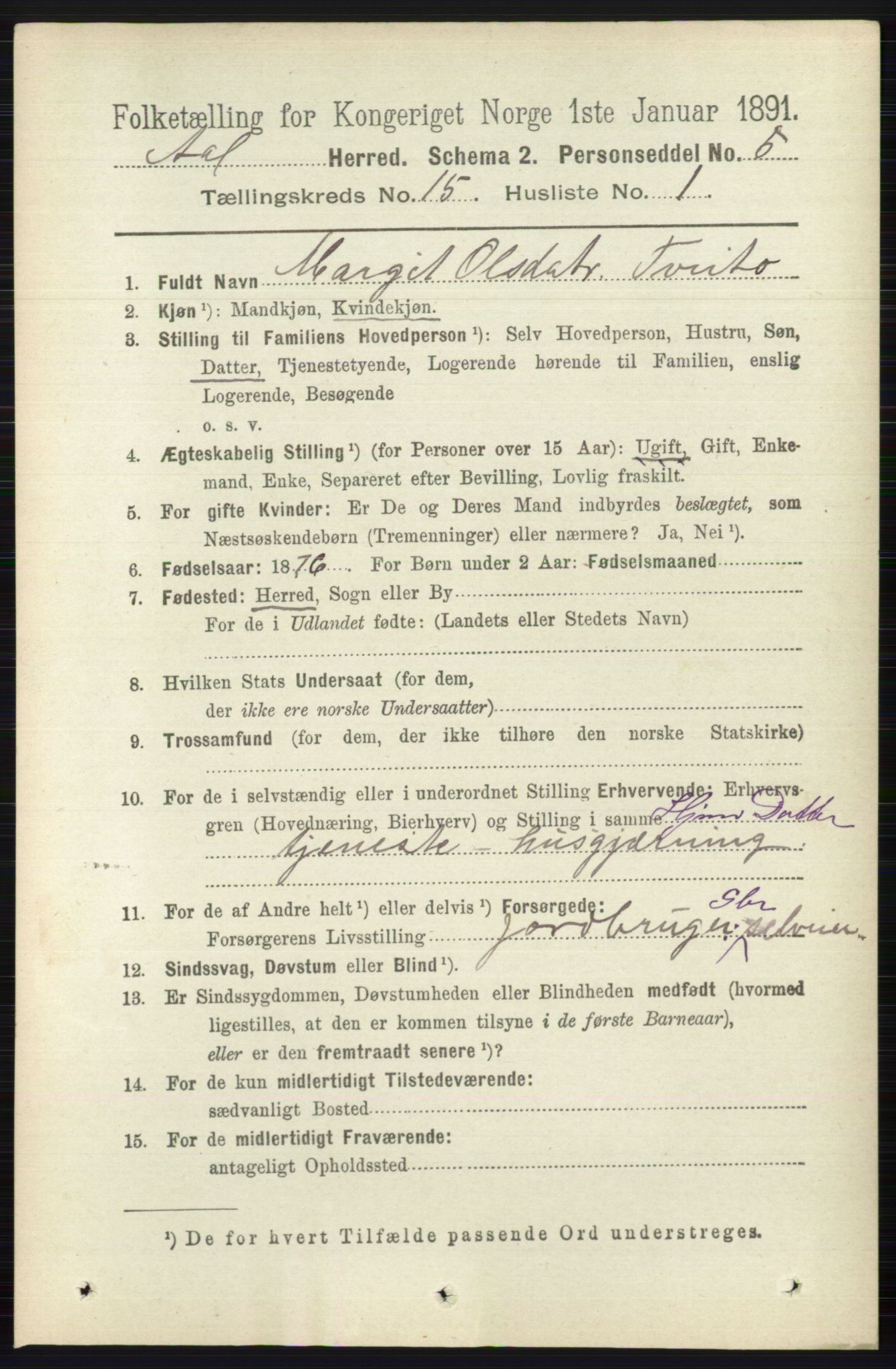 RA, 1891 census for 0619 Ål, 1891, p. 3758