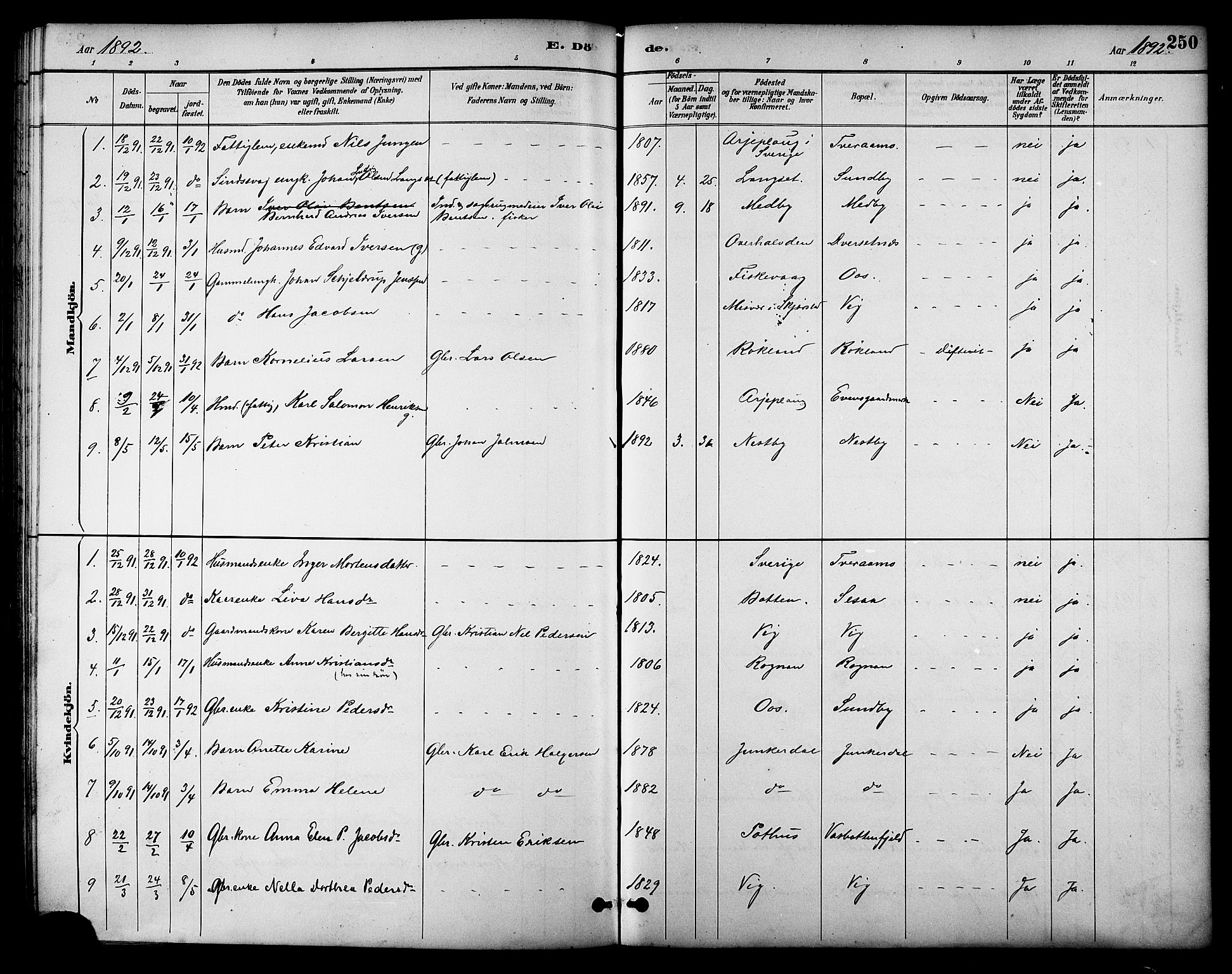 Ministerialprotokoller, klokkerbøker og fødselsregistre - Nordland, AV/SAT-A-1459/847/L0669: Parish register (official) no. 847A09, 1887-1901, p. 250