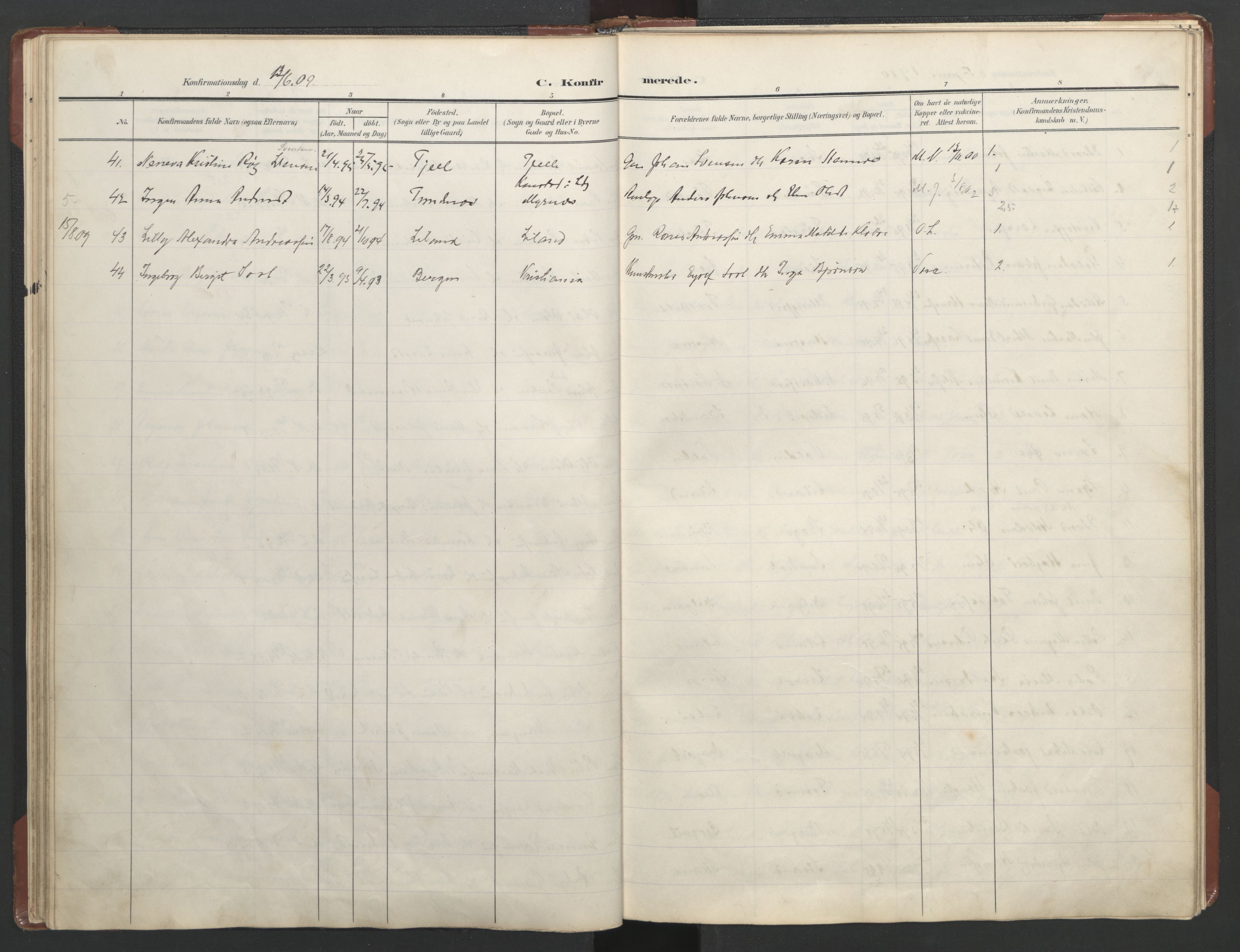 Ministerialprotokoller, klokkerbøker og fødselsregistre - Nordland, AV/SAT-A-1459/863/L0918: Parish register (copy) no. 863C08, 1906-1921