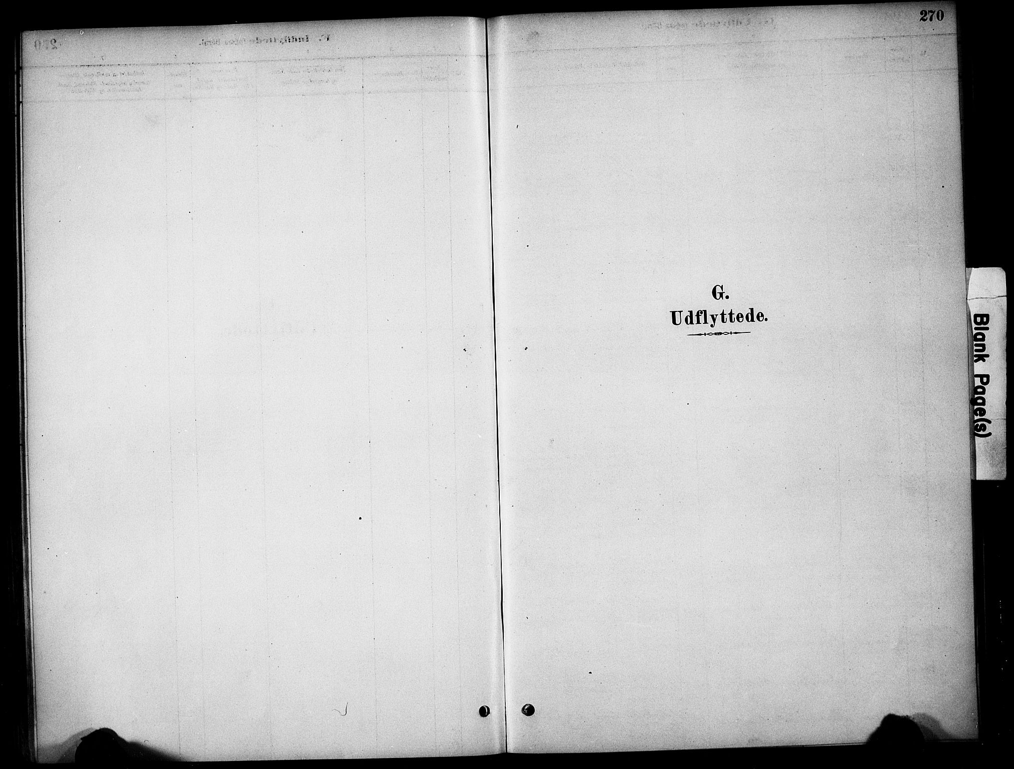 Tynset prestekontor, SAH/PREST-058/H/Ha/Hab/L0006: Parish register (copy) no. 6, 1880-1899, p. 270