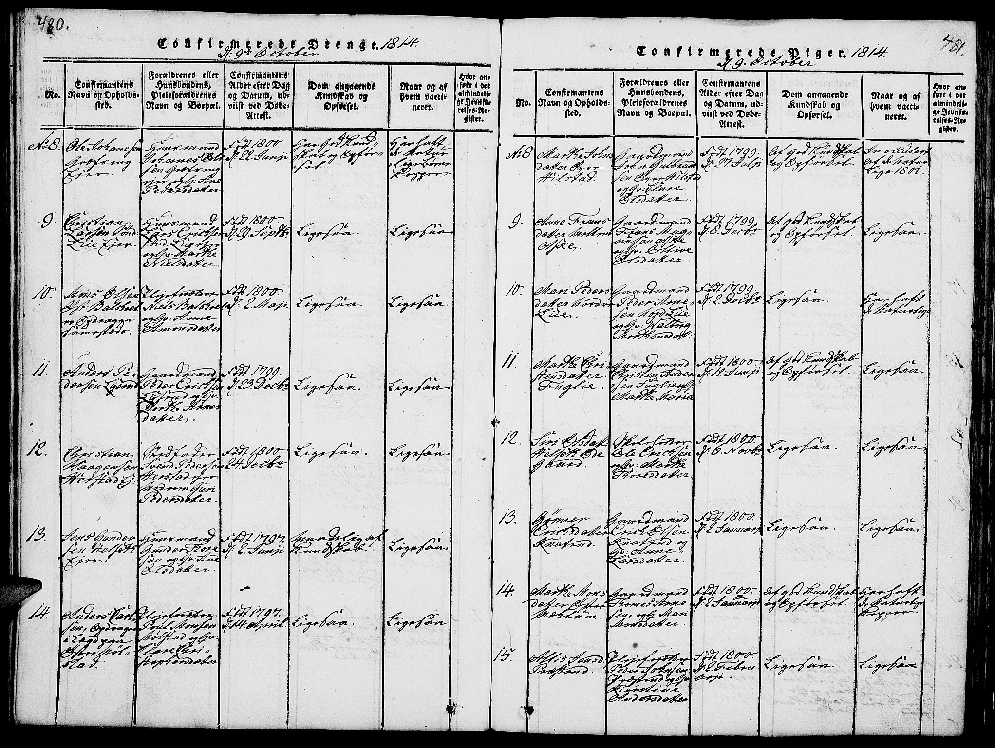 Nes prestekontor, Hedmark, AV/SAH-PREST-020/L/La/L0003: Parish register (copy) no. 3, 1814-1831, p. 480-481