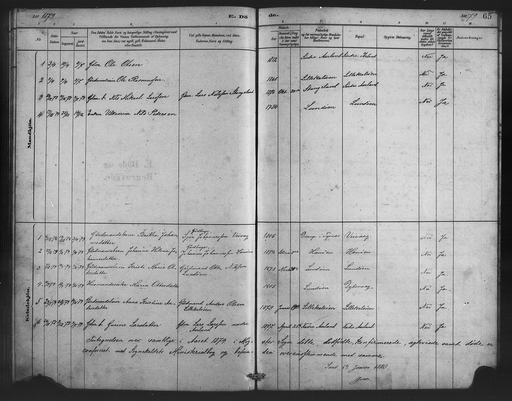 Austevoll sokneprestembete, AV/SAB-A-74201/H/Ha/Hab/Habb/L0003: Parish register (copy) no. B 3, 1879-1888, p. 65