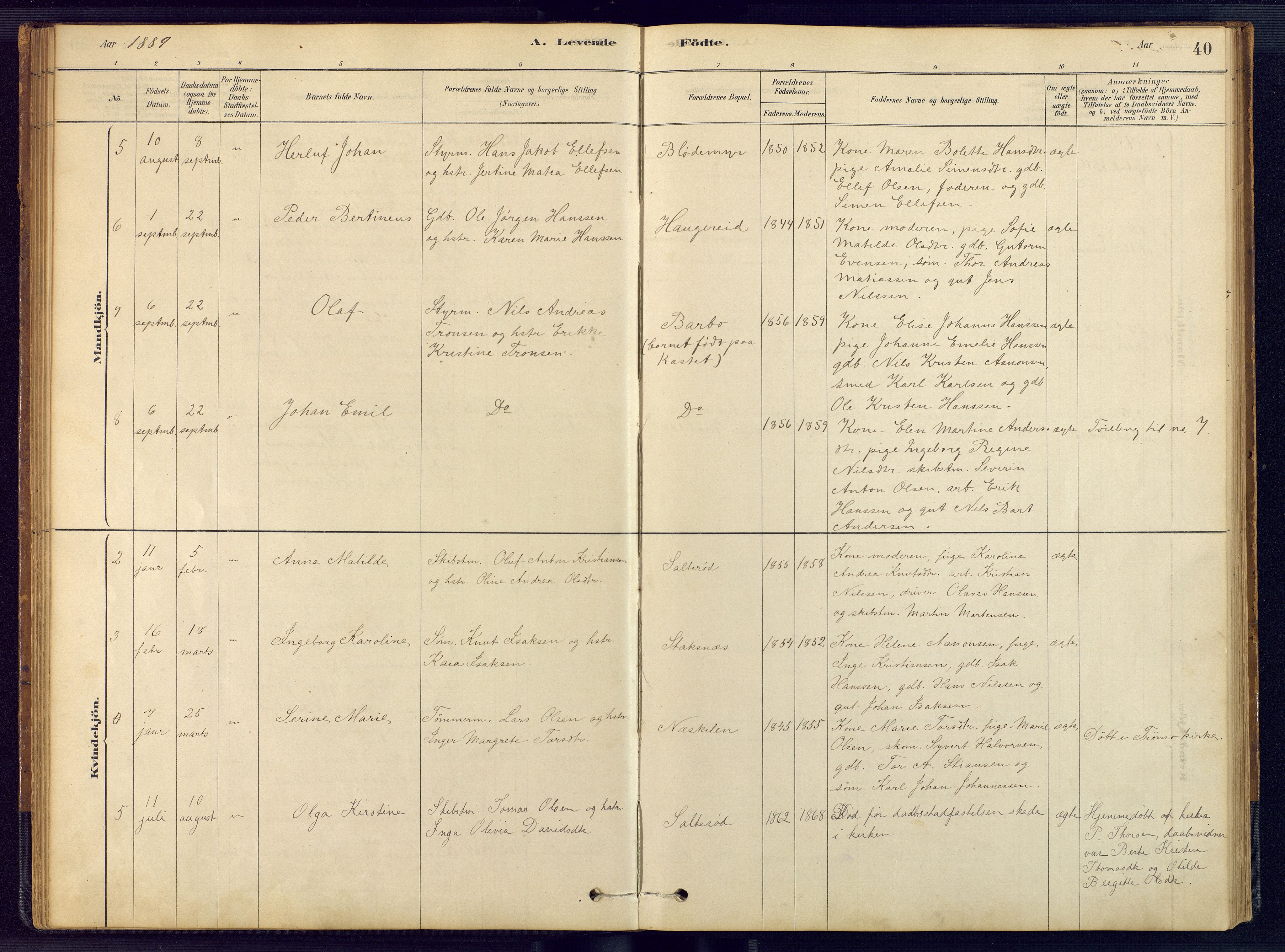Austre Moland sokneprestkontor, SAK/1111-0001/F/Fb/Fbb/L0001: Parish register (copy) no. B 1, 1878-1904, p. 40