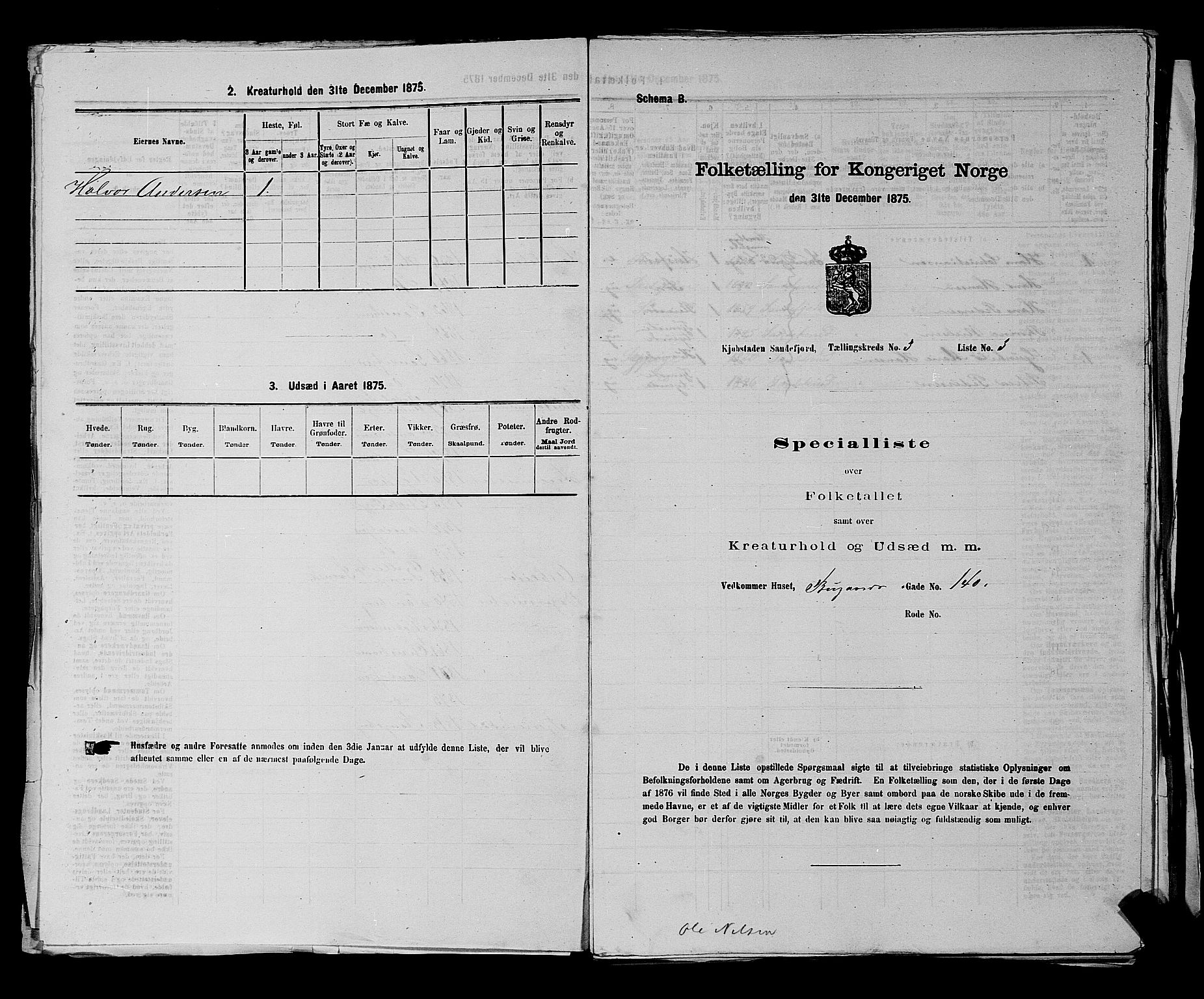 SAKO, 1875 census for 0706B Sandeherred/Sandefjord, 1875, p. 356