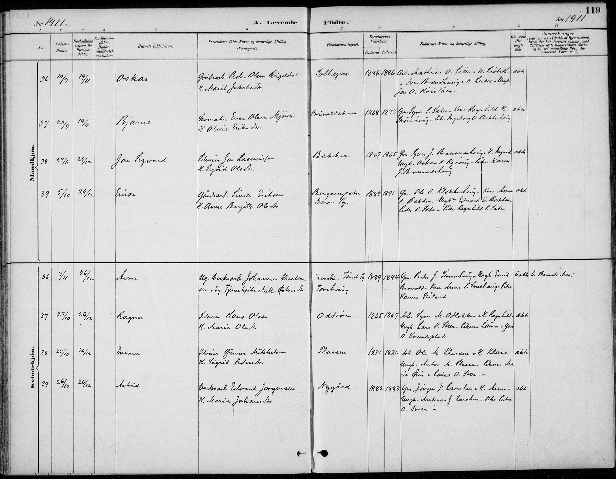 Alvdal prestekontor, AV/SAH-PREST-060/H/Ha/Haa/L0003: Parish register (official) no. 3, 1886-1912, p. 119