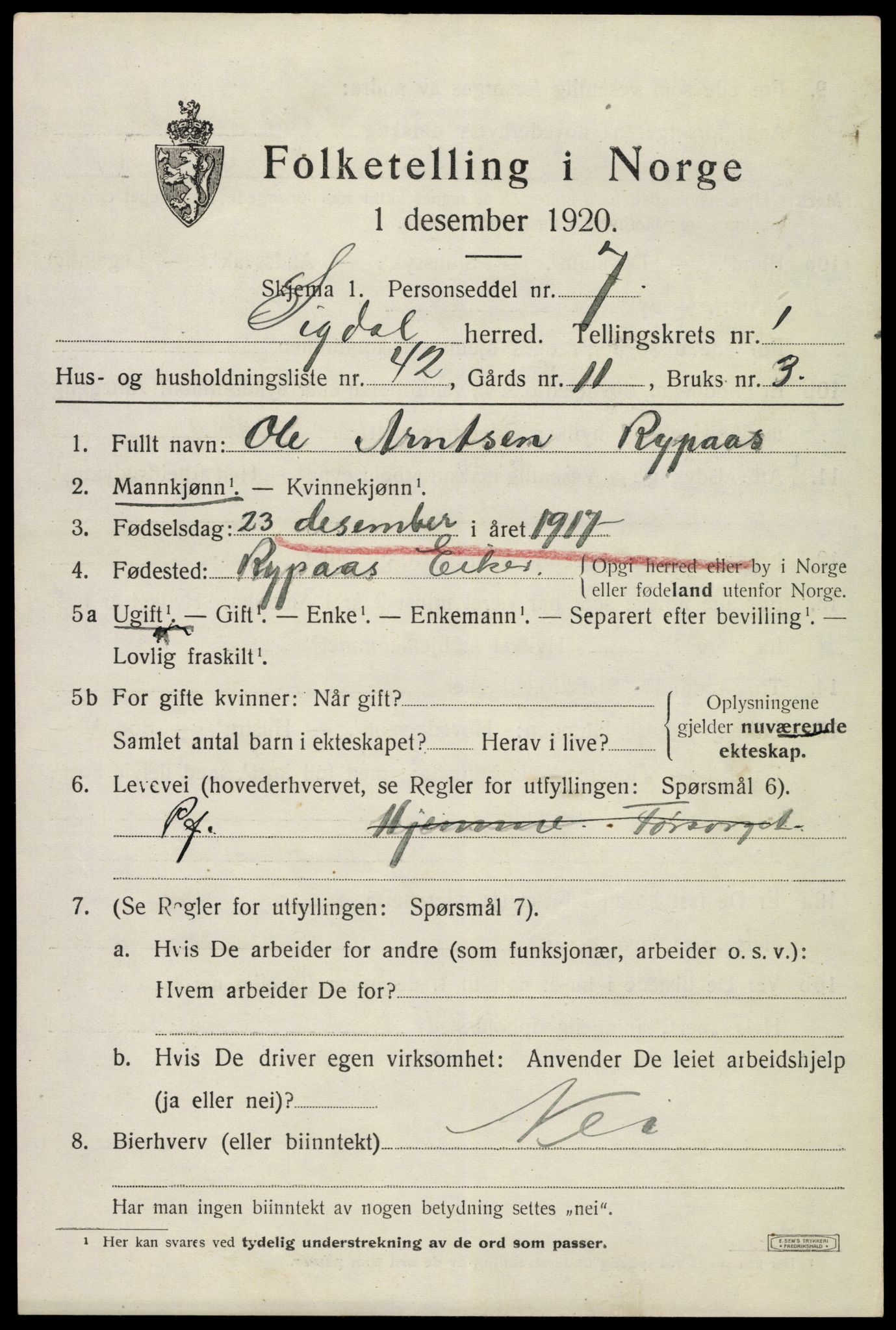 SAKO, 1920 census for Sigdal, 1920, p. 1914