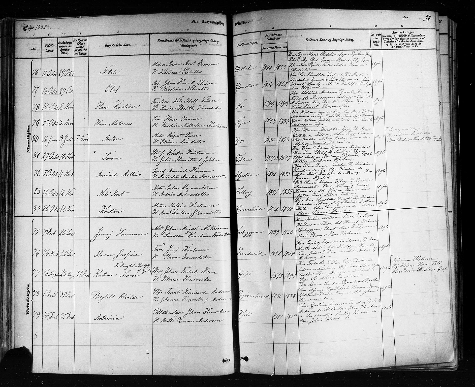 Nøtterøy kirkebøker, AV/SAKO-A-354/F/Fa/L0008: Parish register (official) no. I 8, 1878-1893, p. 54