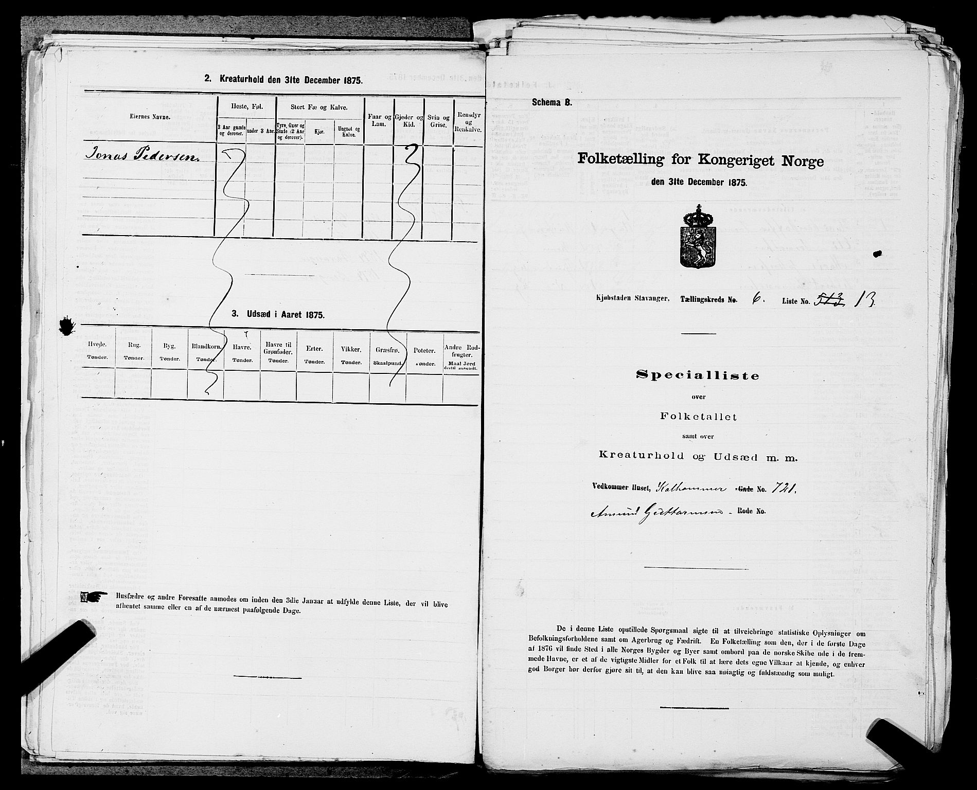 SAST, 1875 census for 1103 Stavanger, 1875, p. 959