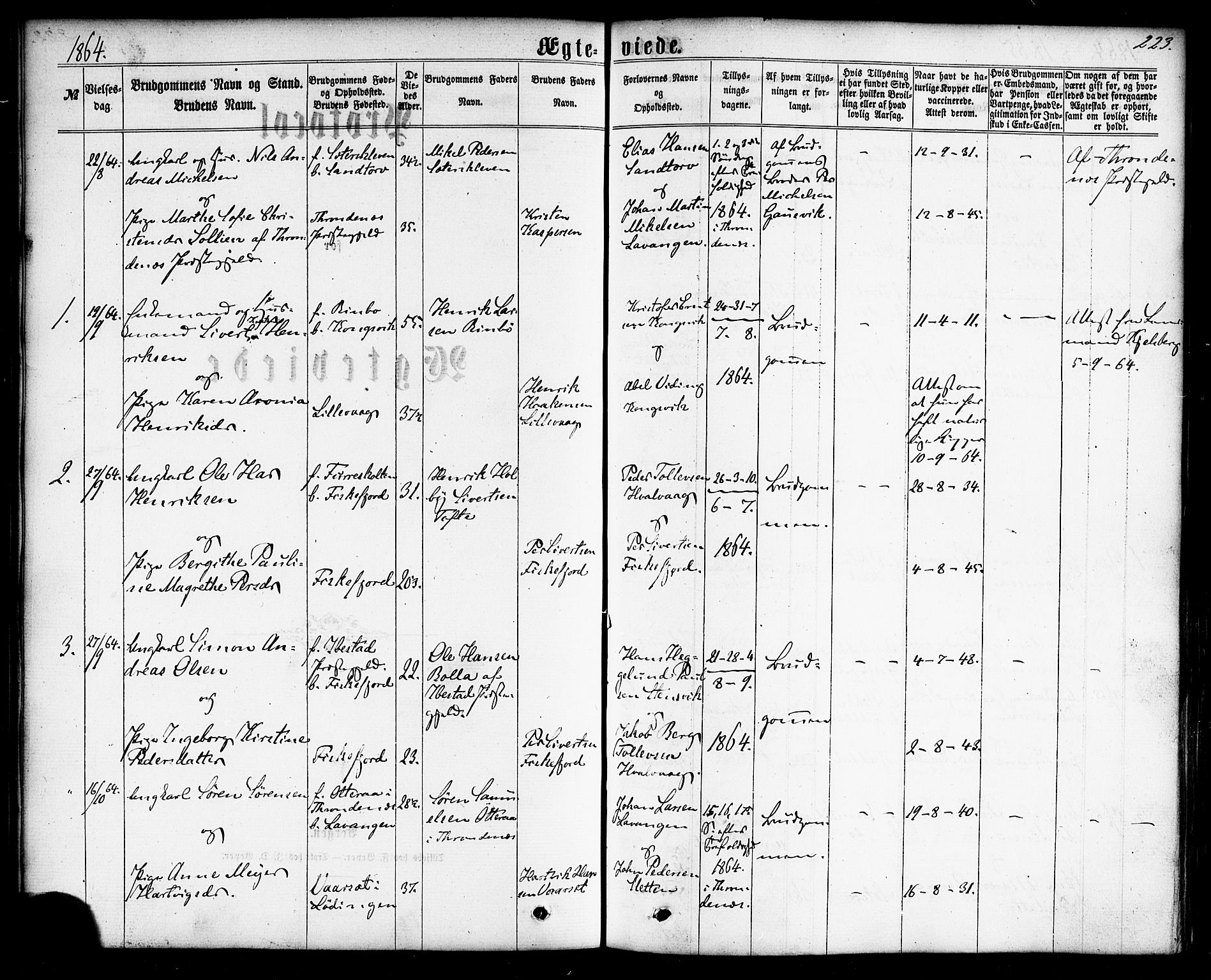 Ministerialprotokoller, klokkerbøker og fødselsregistre - Nordland, AV/SAT-A-1459/865/L0923: Parish register (official) no. 865A01, 1864-1884, p. 223