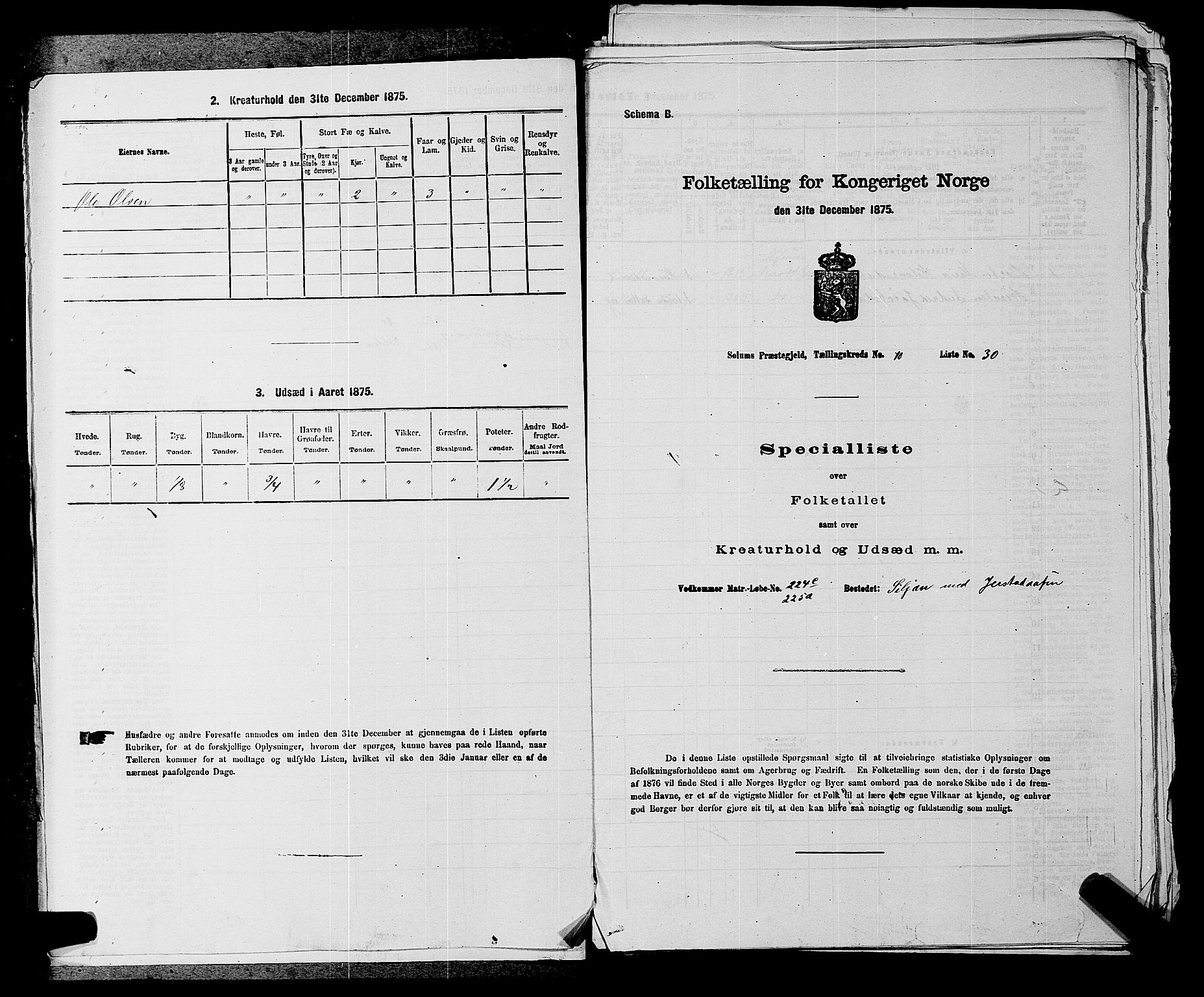 SAKO, 1875 census for 0818P Solum, 1875, p. 1525