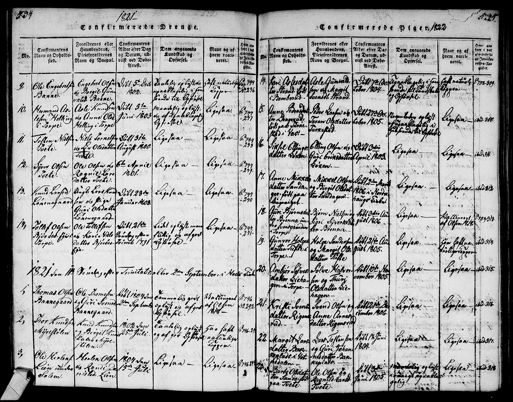 Ål kirkebøker, AV/SAKO-A-249/G/Ga/L0001: Parish register (copy) no. 1, 1815-1829, p. 534-535