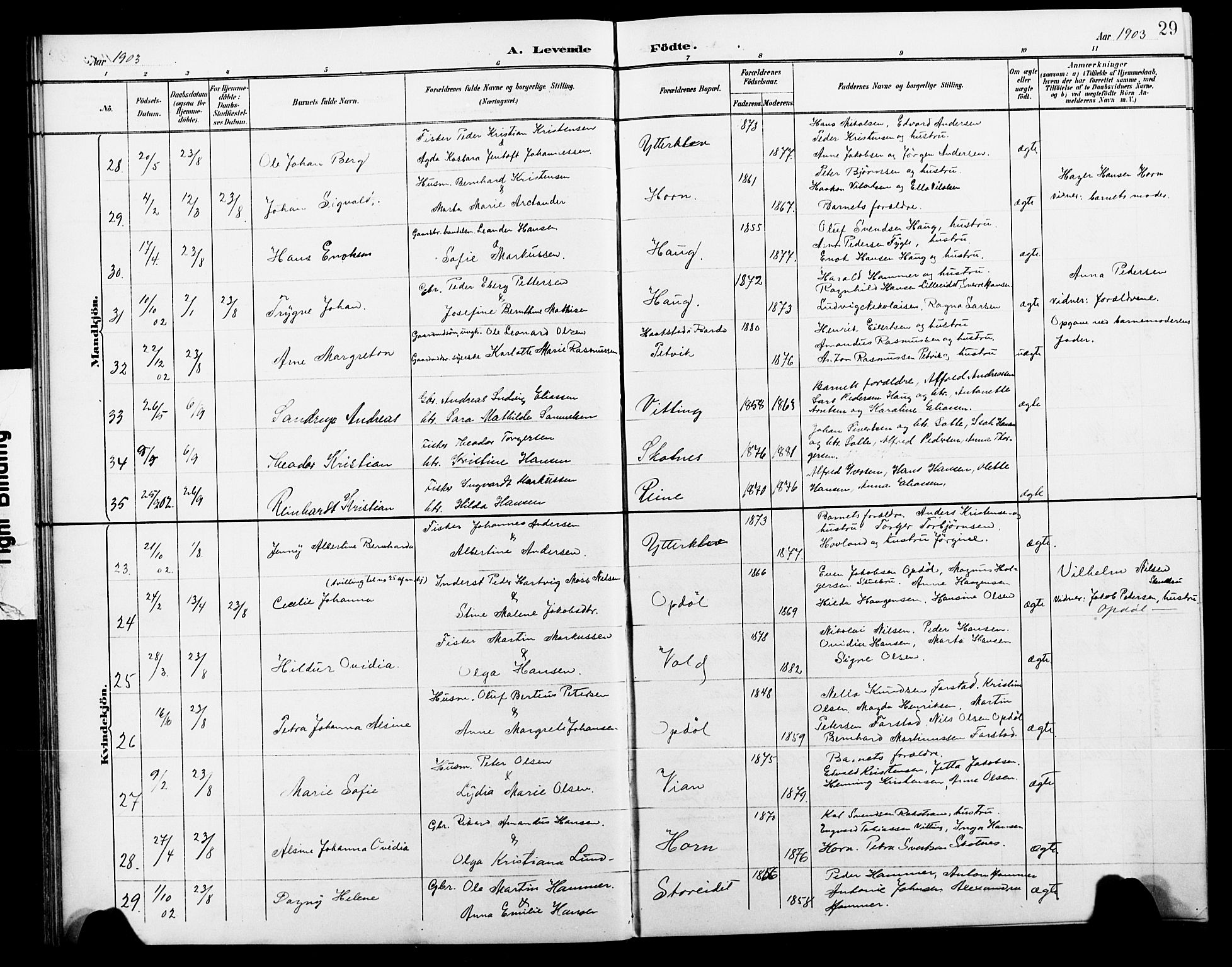 Ministerialprotokoller, klokkerbøker og fødselsregistre - Nordland, AV/SAT-A-1459/881/L1168: Parish register (copy) no. 881C05, 1900-1911, p. 29