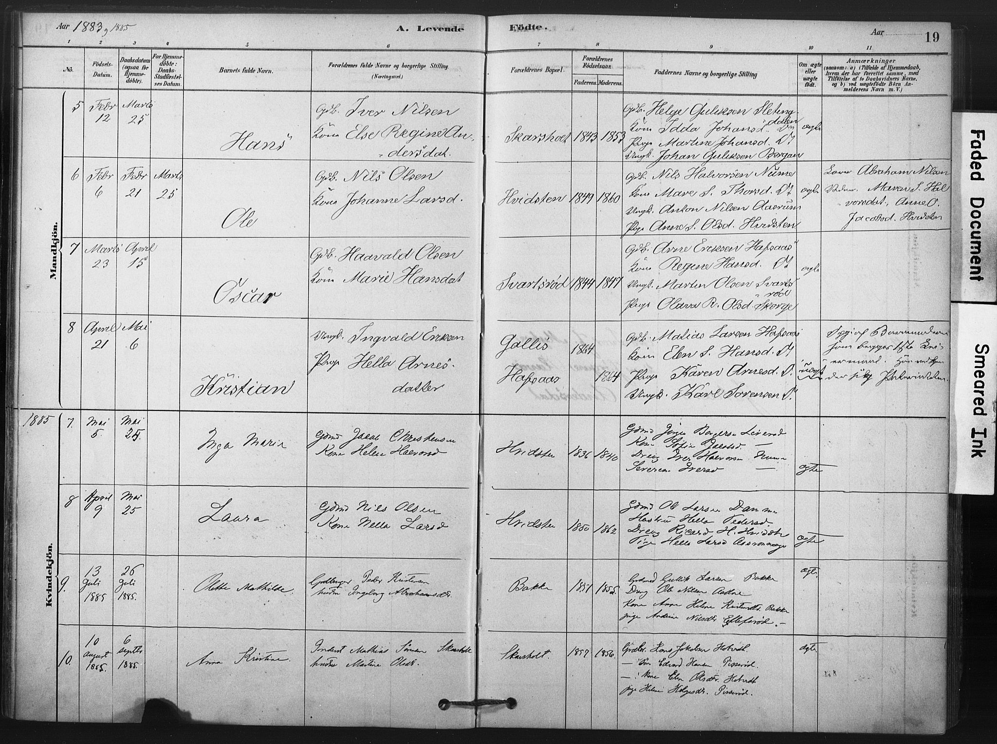 Andebu kirkebøker, AV/SAKO-A-336/F/Fa/L0008: Parish register (official) no. 8, 1878-1902, p. 19