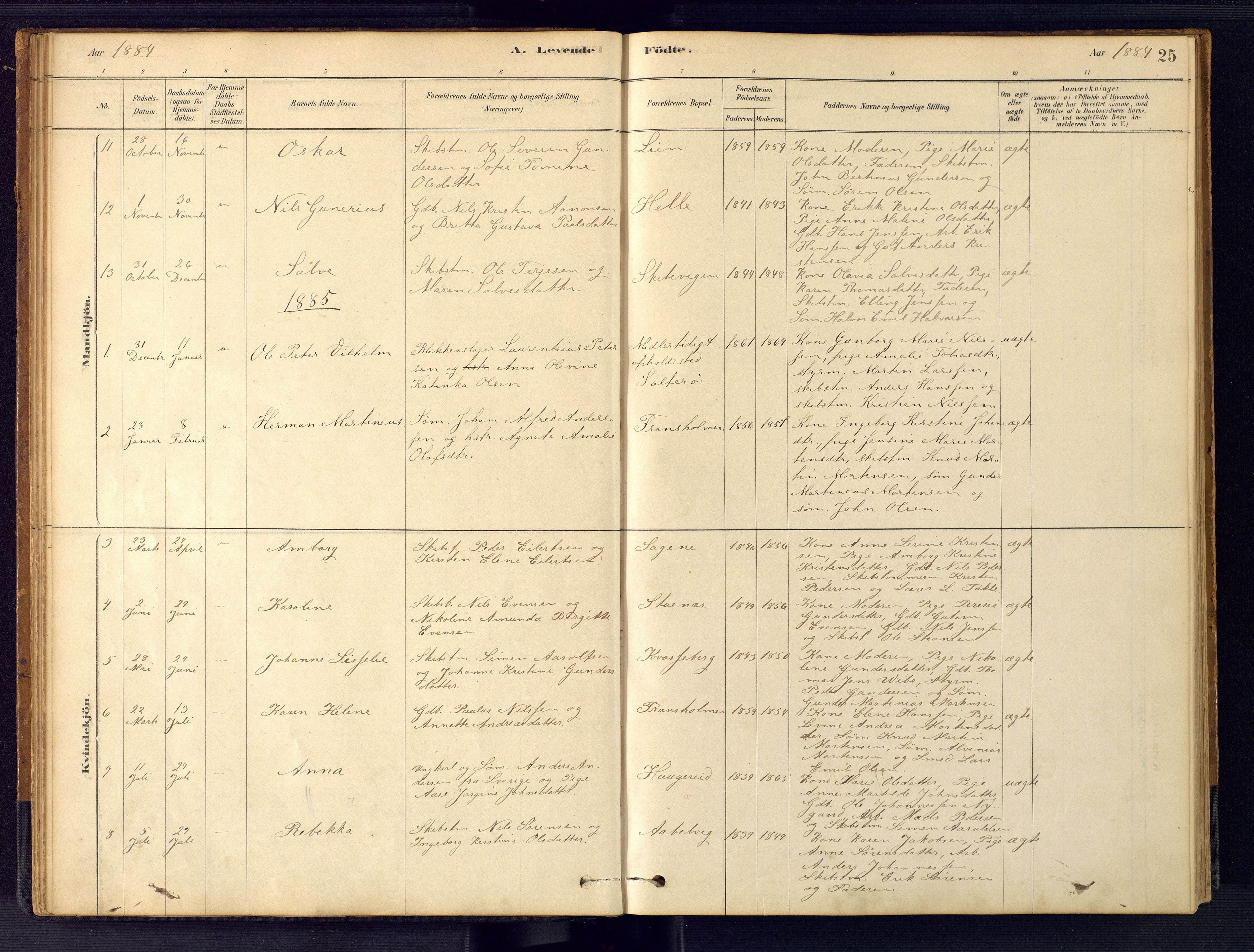 Austre Moland sokneprestkontor, SAK/1111-0001/F/Fb/Fbb/L0001: Parish register (copy) no. B 1, 1878-1904, p. 25