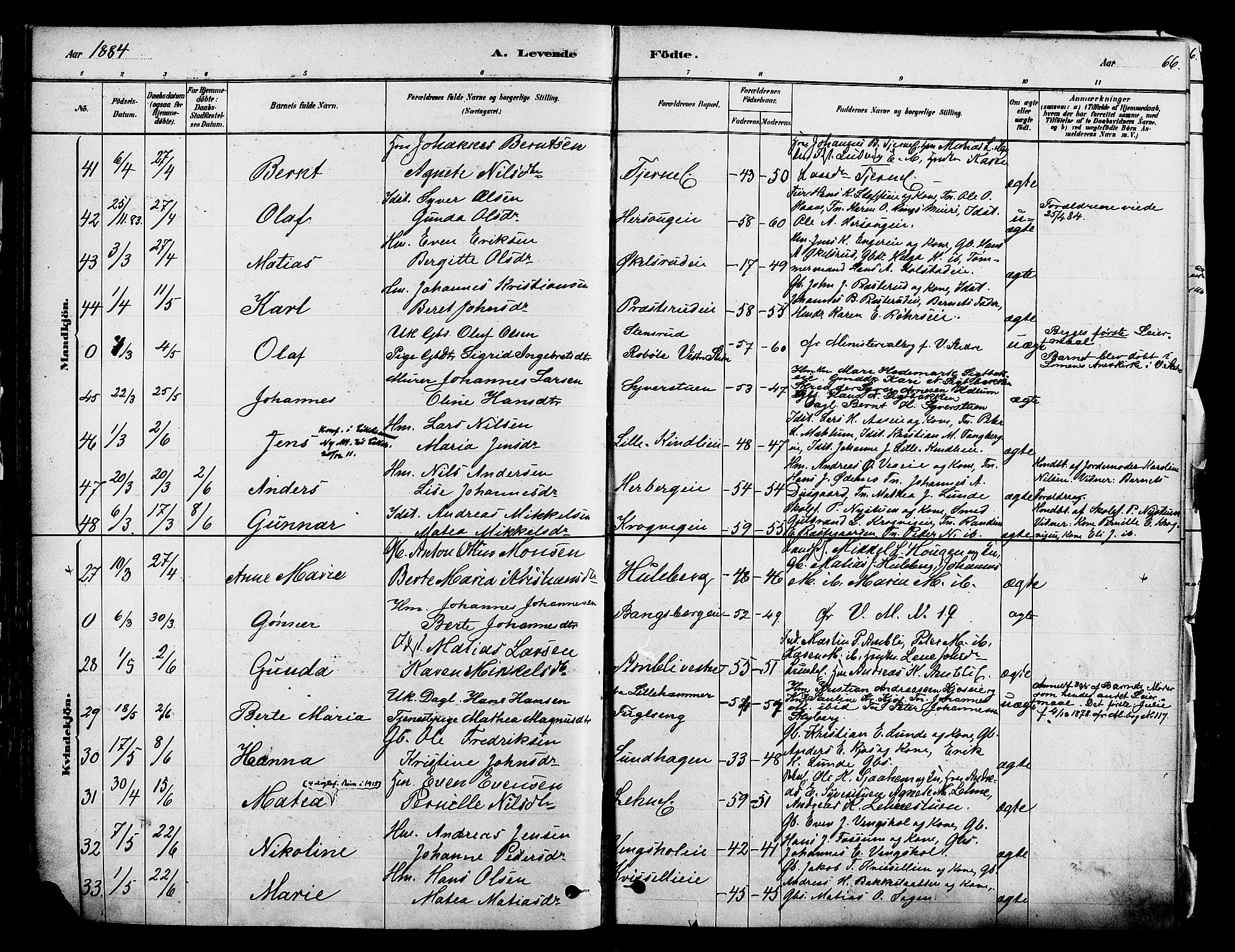 Ringsaker prestekontor, AV/SAH-PREST-014/K/Ka/L0012: Parish register (official) no. 12, 1879-1890, p. 66