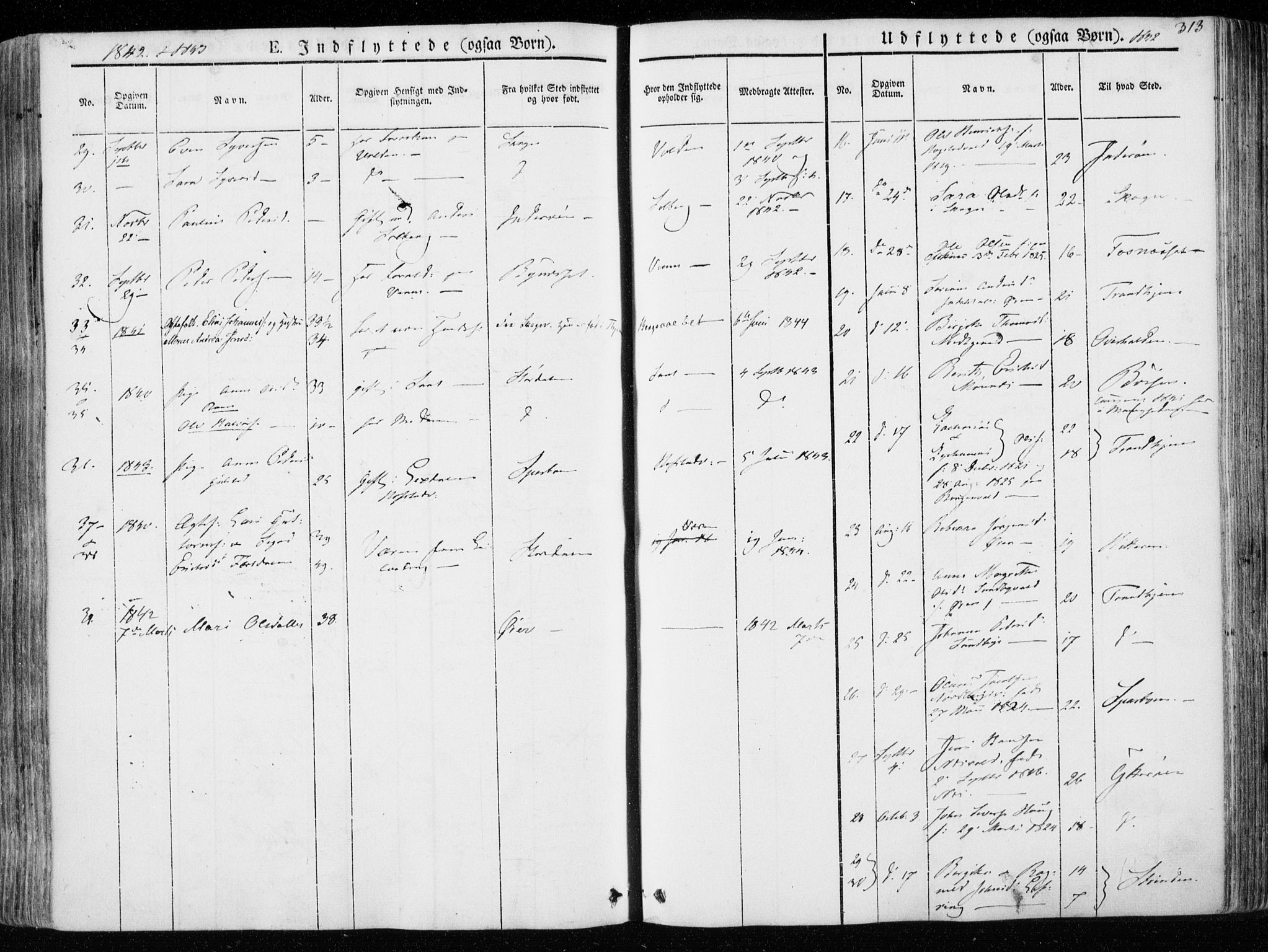 Ministerialprotokoller, klokkerbøker og fødselsregistre - Nord-Trøndelag, SAT/A-1458/723/L0239: Parish register (official) no. 723A08, 1841-1851, p. 313