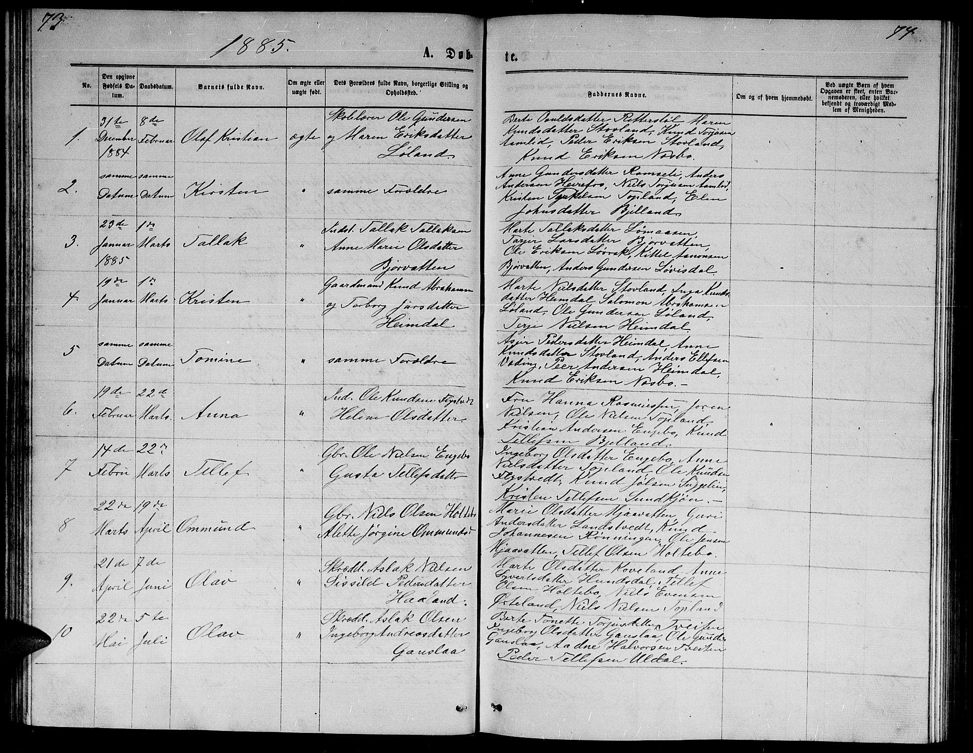 Herefoss sokneprestkontor, AV/SAK-1111-0019/F/Fb/Fba/L0002: Parish register (copy) no. B 2, 1868-1886, p. 73-74