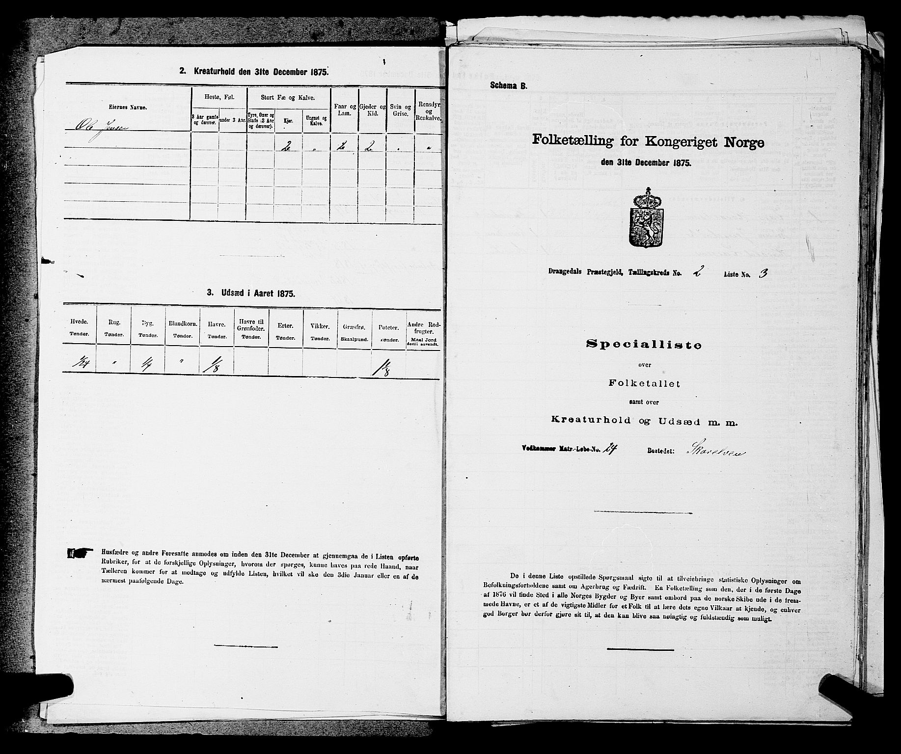 SAKO, 1875 census for 0817P Drangedal, 1875, p. 236