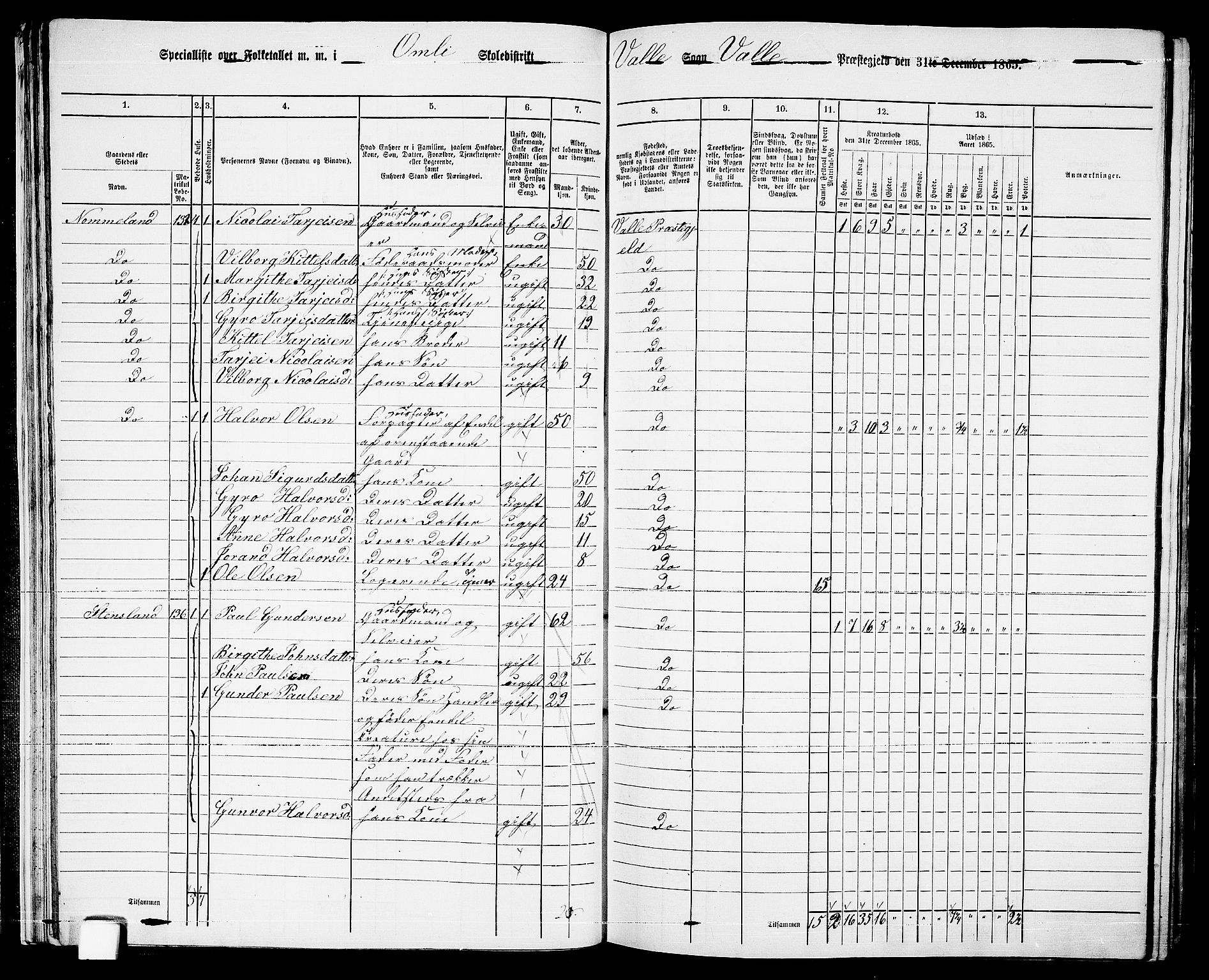 RA, 1865 census for Valle, 1865, p. 29