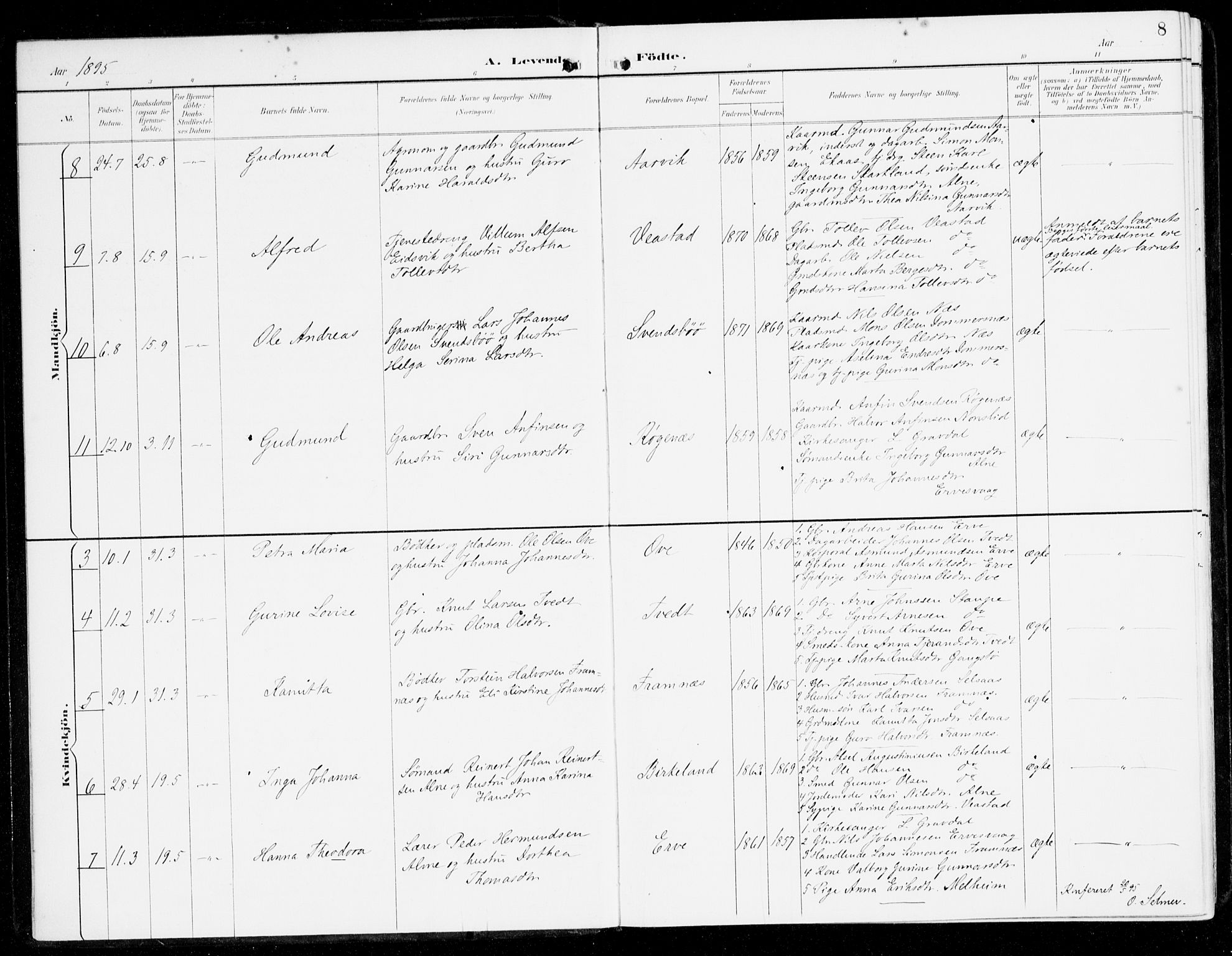 Sveio Sokneprestembete, AV/SAB-A-78501/H/Haa: Parish register (official) no. D 2, 1894-1916, p. 8