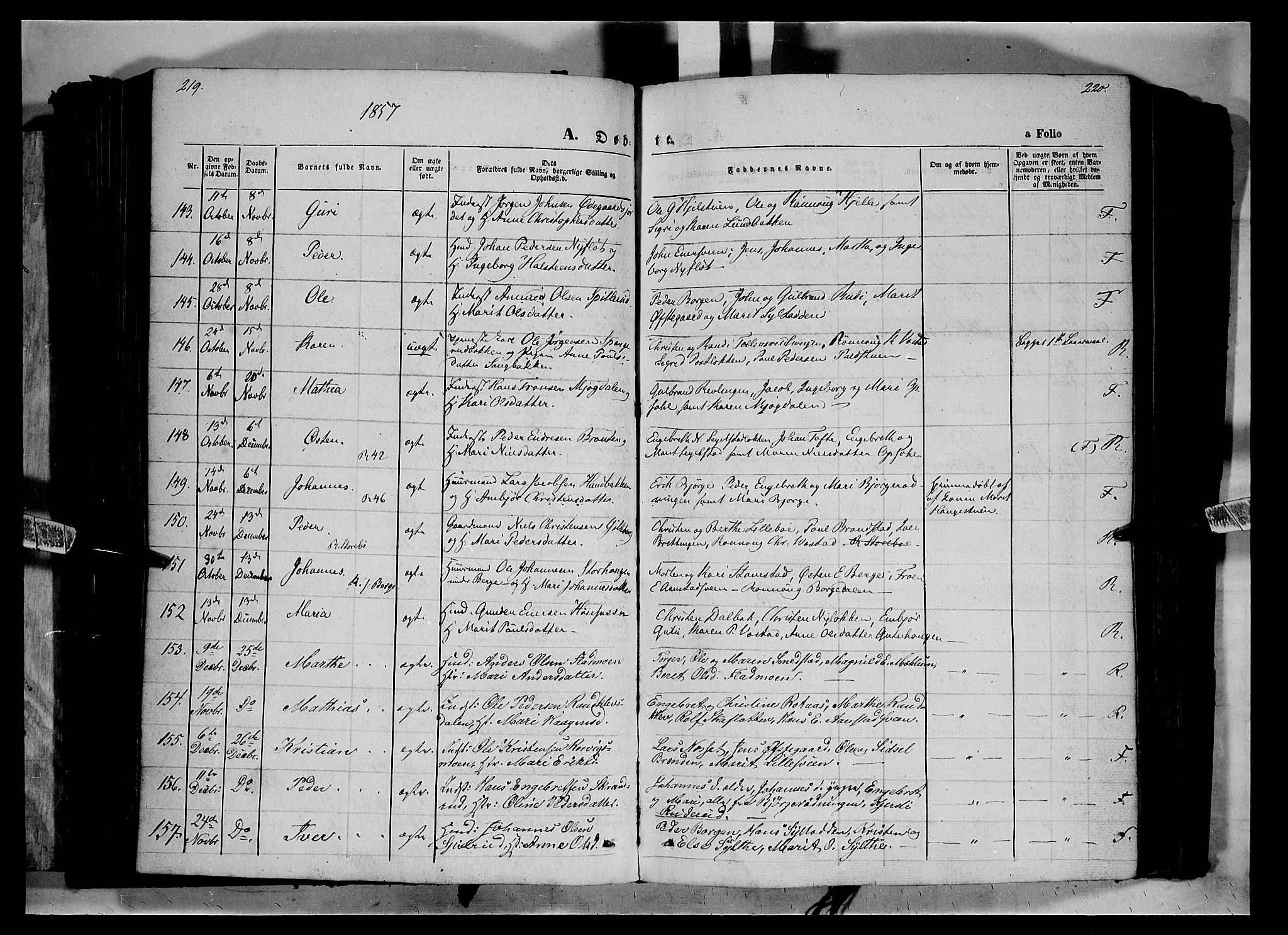 Ringebu prestekontor, SAH/PREST-082/H/Ha/Haa/L0006: Parish register (official) no. 6, 1848-1859, p. 219-220