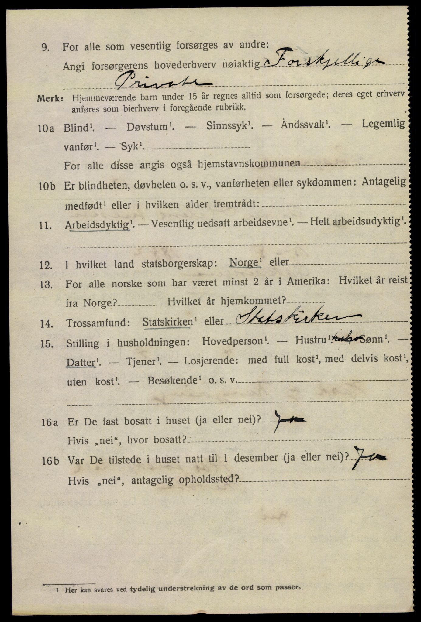 SAKO, 1920 census for Porsgrunn, 1920, p. 21542