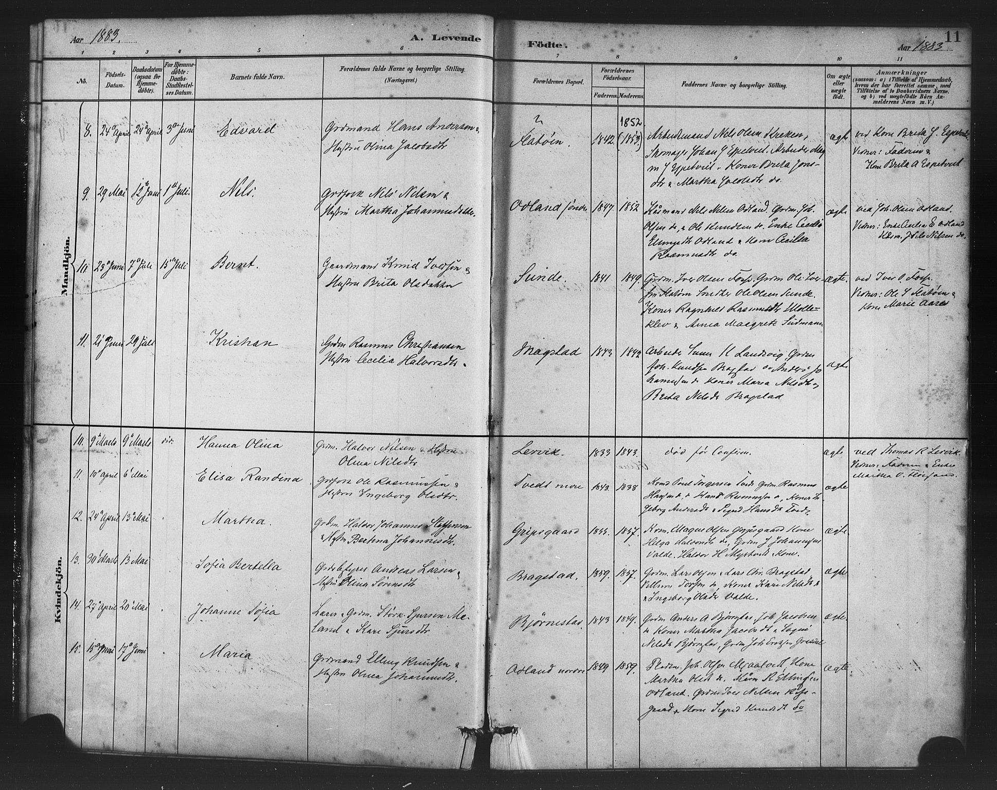 Alversund Sokneprestembete, AV/SAB-A-73901/H/Ha/Haa/Haac/L0001: Parish register (official) no. C 1, 1882-1900, p. 11