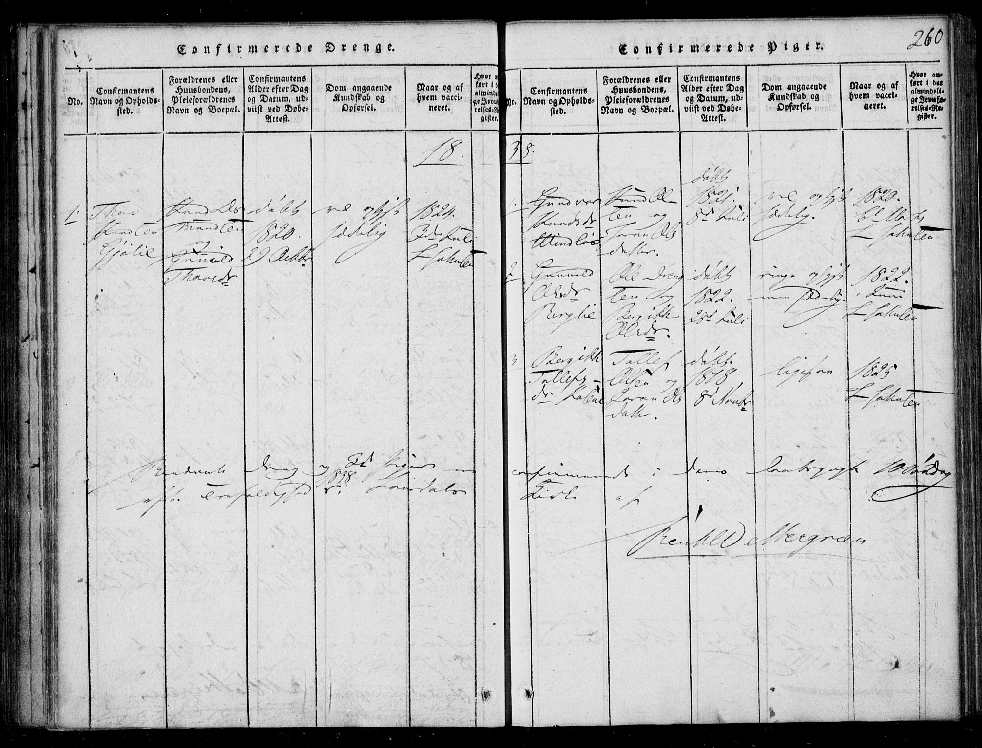 Lårdal kirkebøker, SAKO/A-284/F/Fb/L0001: Parish register (official) no. II 1, 1815-1860, p. 260