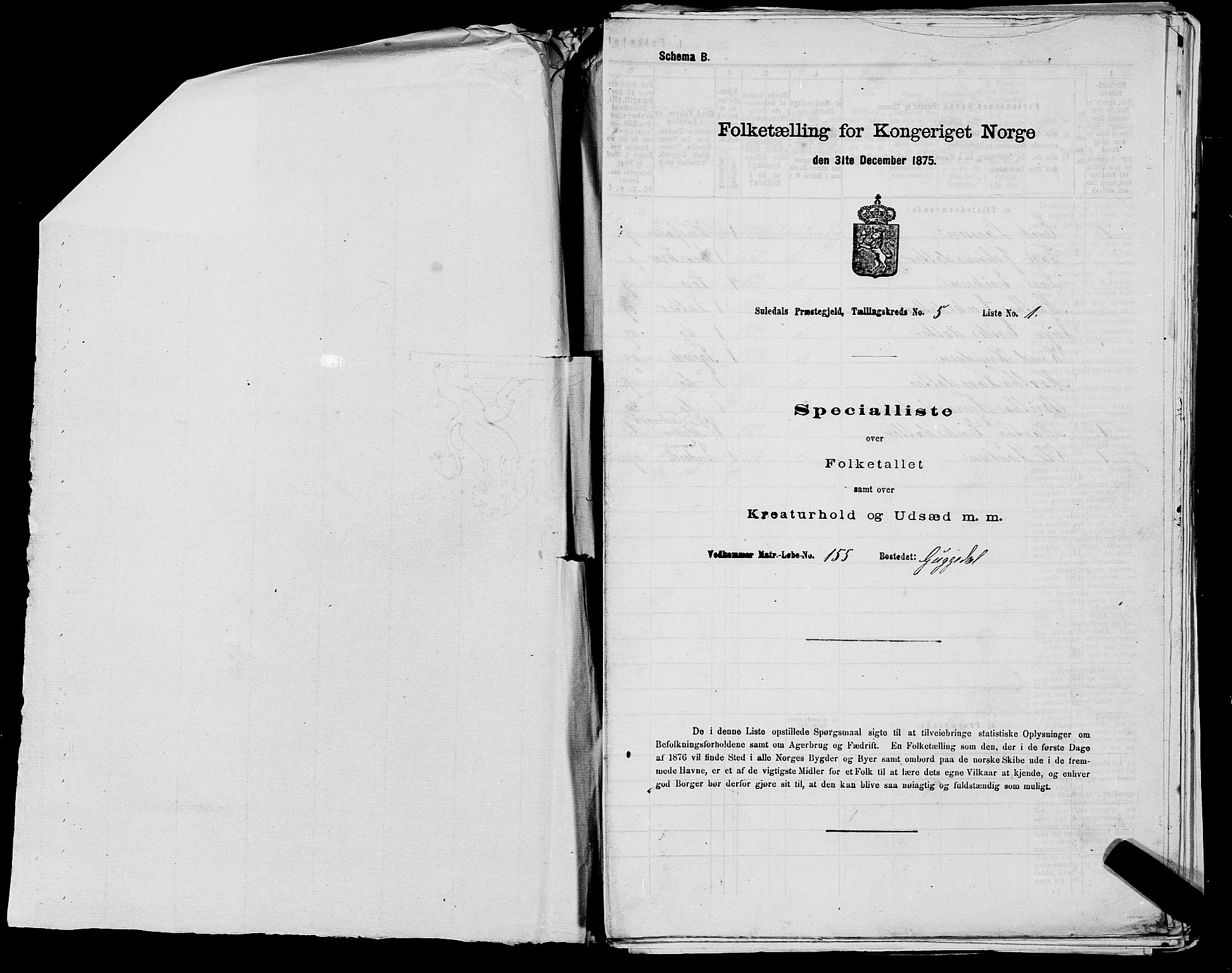 SAST, 1875 census for 1134P Suldal, 1875, p. 567