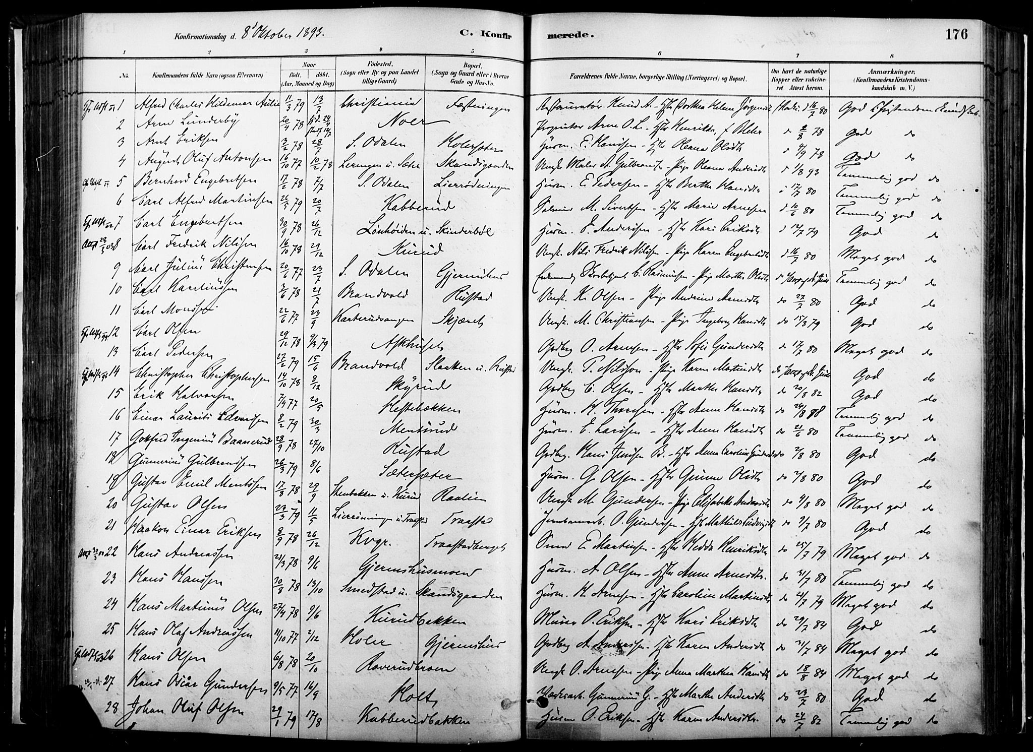 Vinger prestekontor, SAH/PREST-024/H/Ha/Haa/L0014: Parish register (official) no. 14, 1881-1900, p. 176