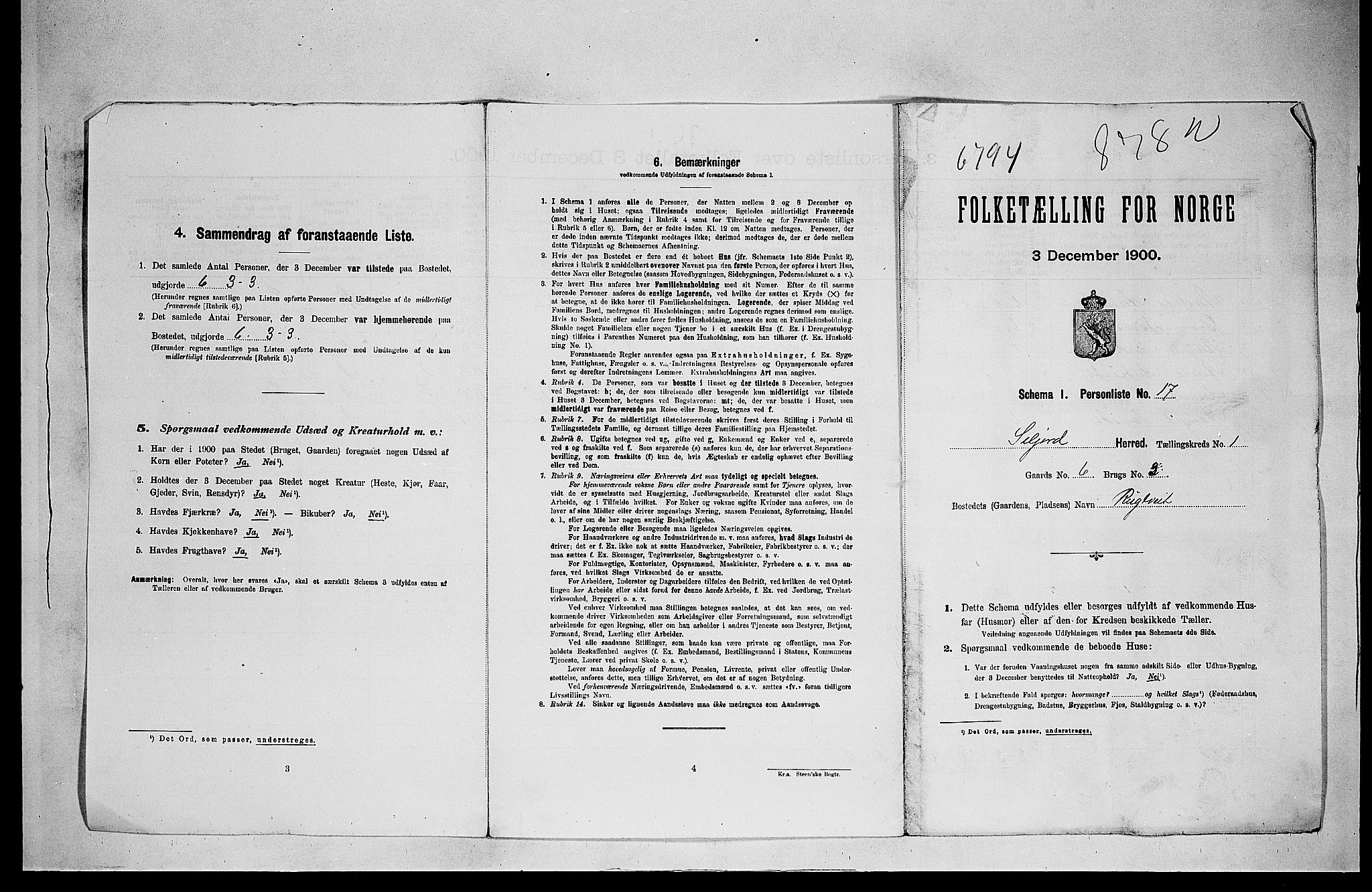 SAKO, 1900 census for Seljord, 1900, p. 36