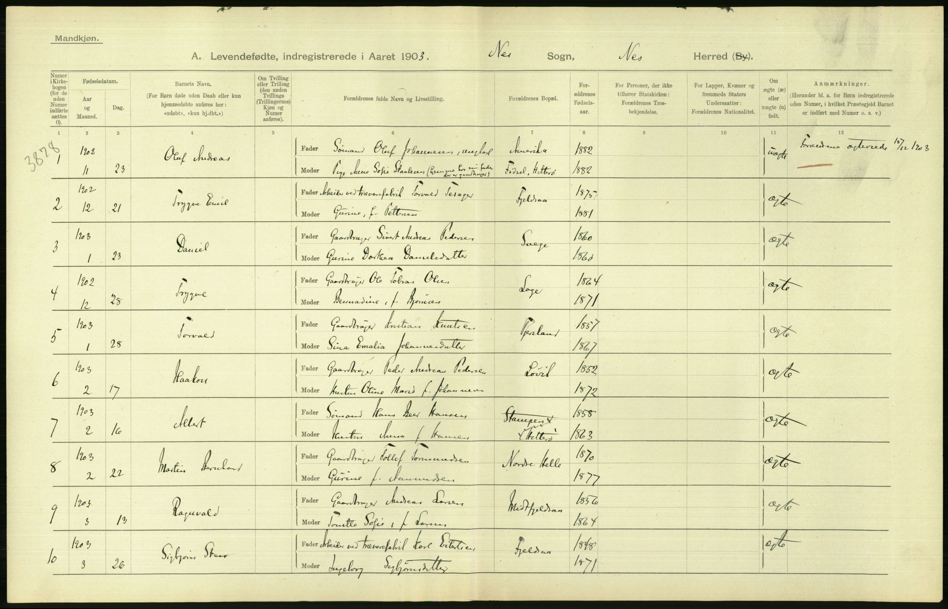 Statistisk sentralbyrå, Sosiodemografiske emner, Befolkning, AV/RA-S-2228/D/Df/Dfa/Dfaa/L0011: Lister og Mandal amt: Fødte, gifte, døde, 1903, p. 28