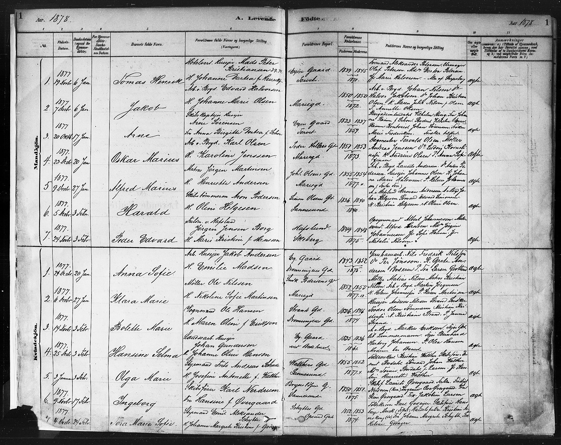 Sarpsborg prestekontor Kirkebøker, SAO/A-2006/F/Fa/L0003: Parish register (official) no. 3, 1878-1891, p. 1