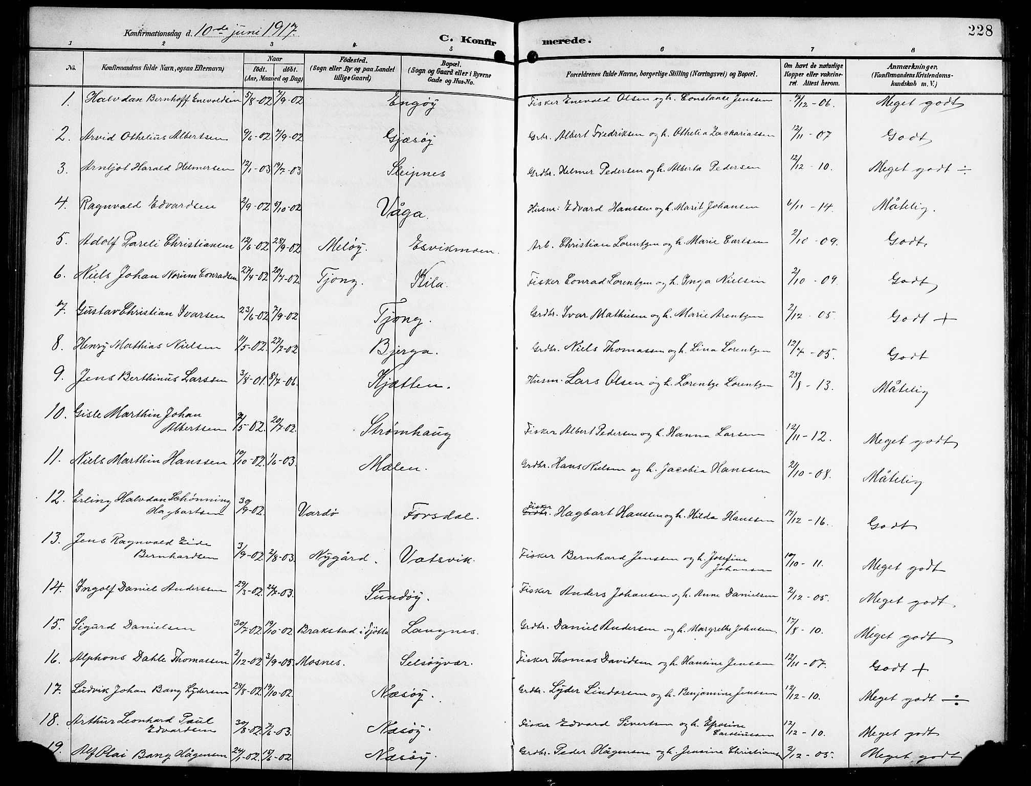 Ministerialprotokoller, klokkerbøker og fødselsregistre - Nordland, AV/SAT-A-1459/841/L0621: Parish register (copy) no. 841C05, 1897-1923, p. 228