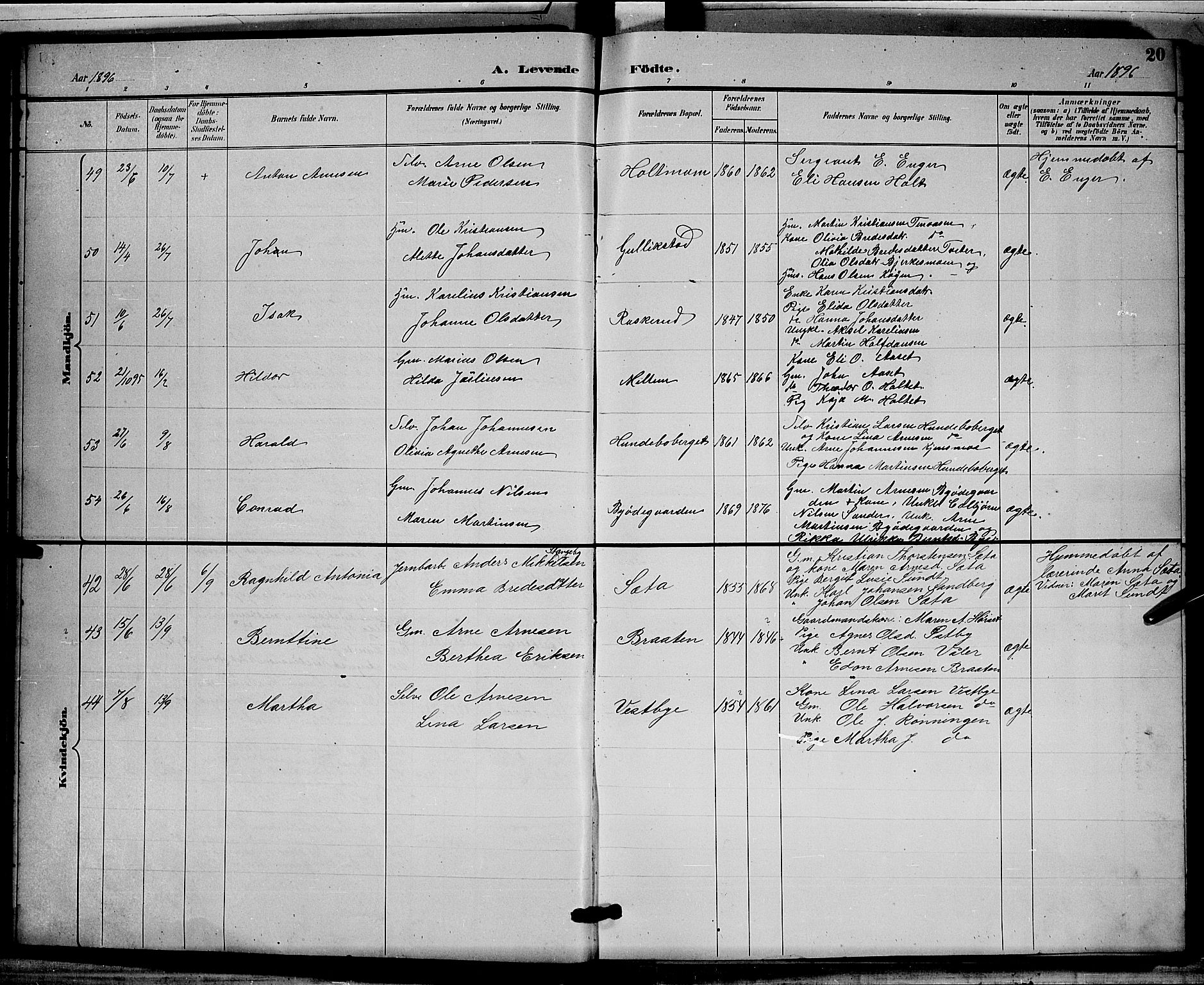 Grue prestekontor, SAH/PREST-036/H/Ha/Hab/L0003: Parish register (copy) no. 3, 1895-1899, p. 20