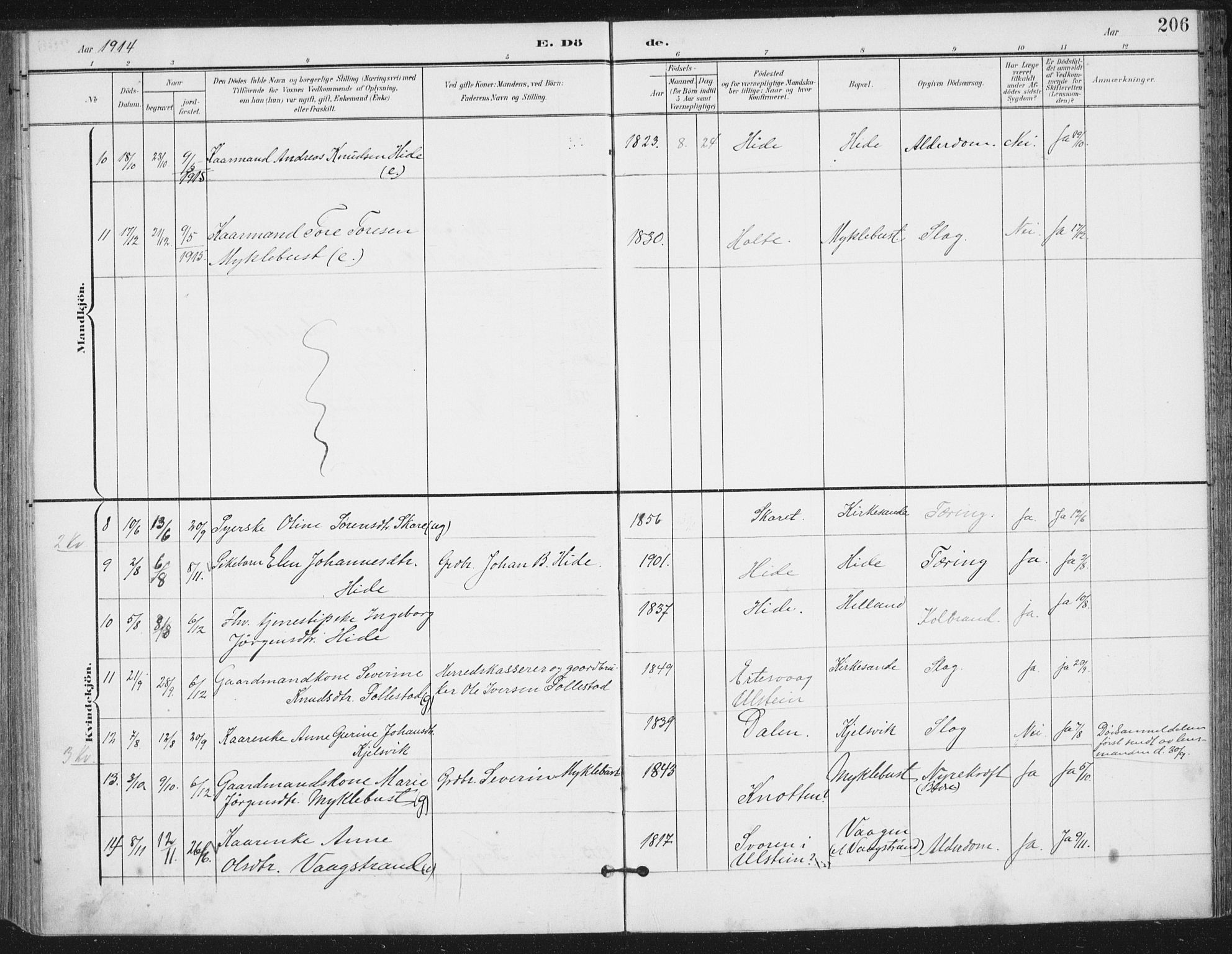 Ministerialprotokoller, klokkerbøker og fødselsregistre - Møre og Romsdal, AV/SAT-A-1454/503/L0038: Parish register (official) no. 503A06, 1901-1917, p. 206