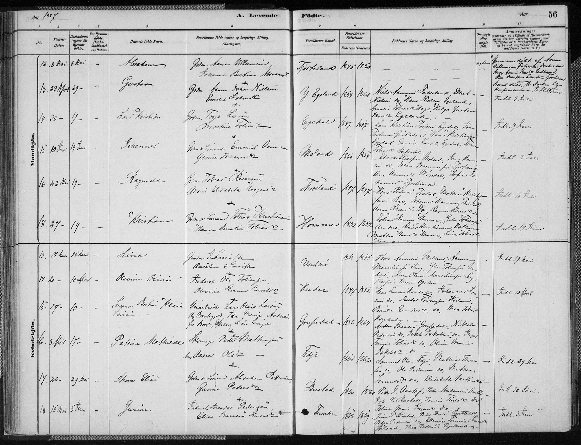 Sør-Audnedal sokneprestkontor, AV/SAK-1111-0039/F/Fa/Fab/L0009: Parish register (official) no. A 9, 1880-1895, p. 56