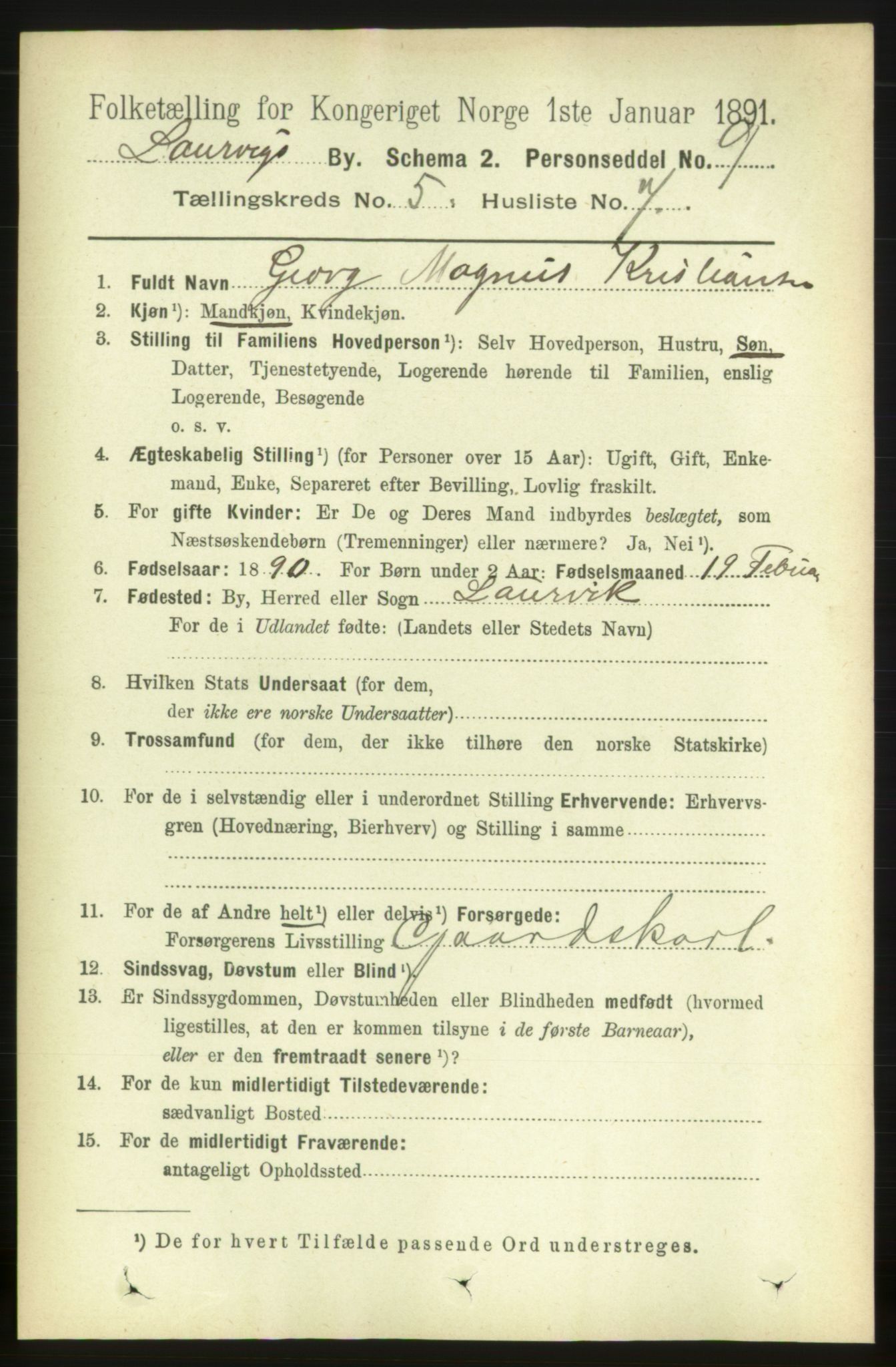 RA, 1891 census for 0707 Larvik, 1891, p. 6056