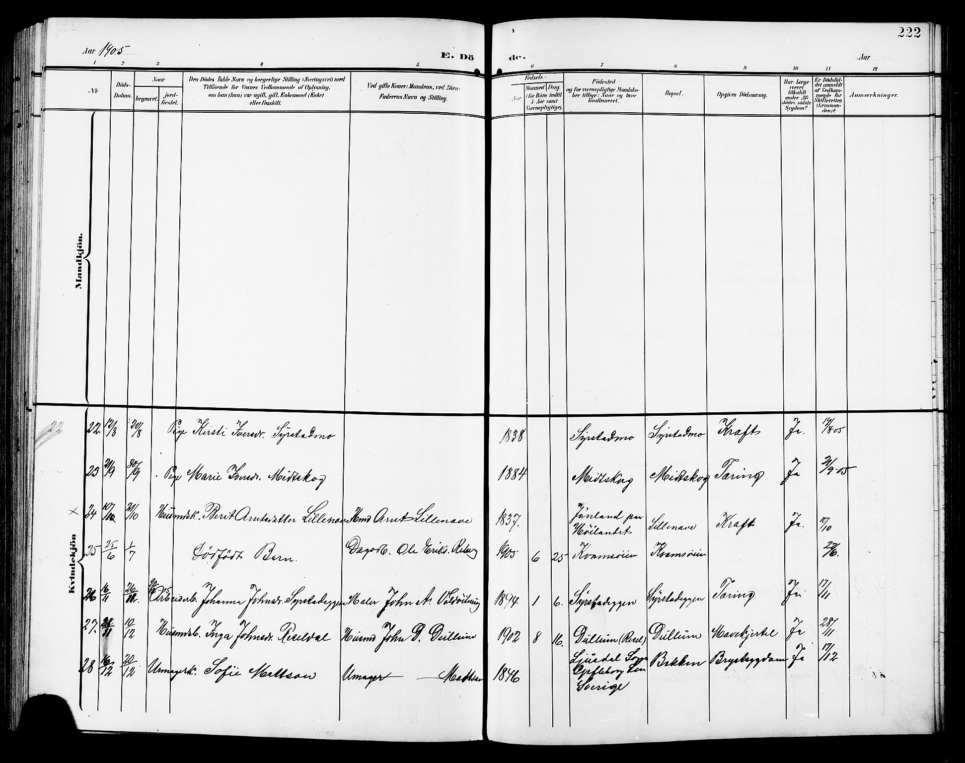 Ministerialprotokoller, klokkerbøker og fødselsregistre - Sør-Trøndelag, AV/SAT-A-1456/672/L0864: Parish register (copy) no. 672C03, 1902-1914, p. 222