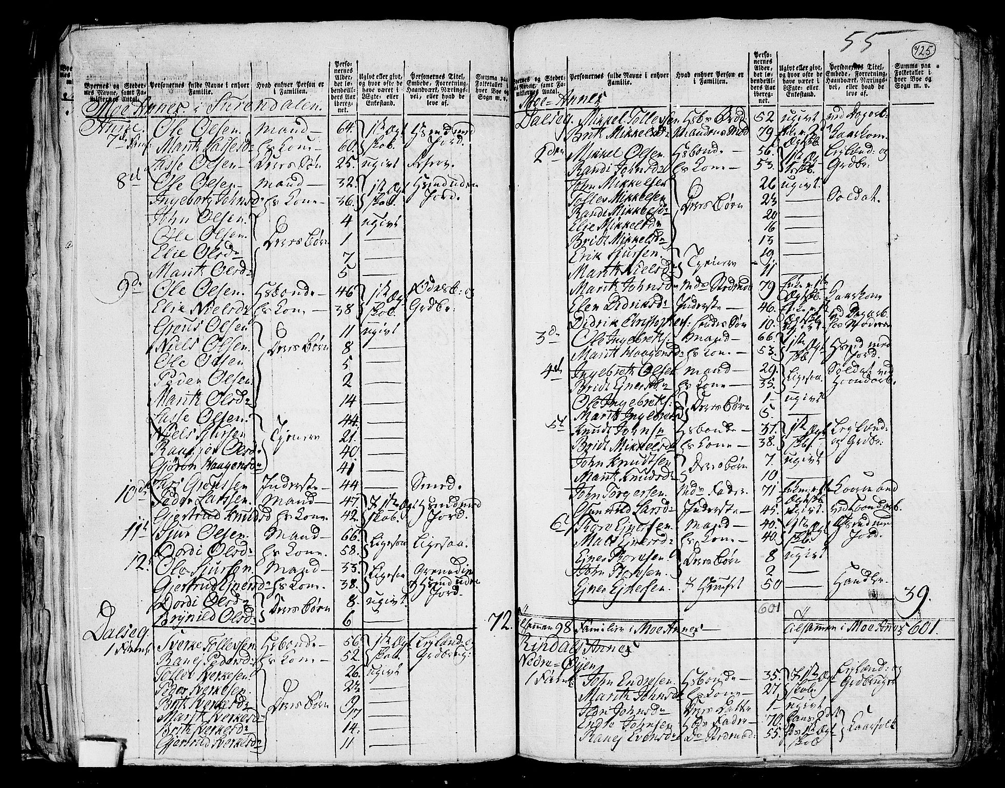 RA, 1801 census for 1566P Surnadal, 1801, p. 724b-725a