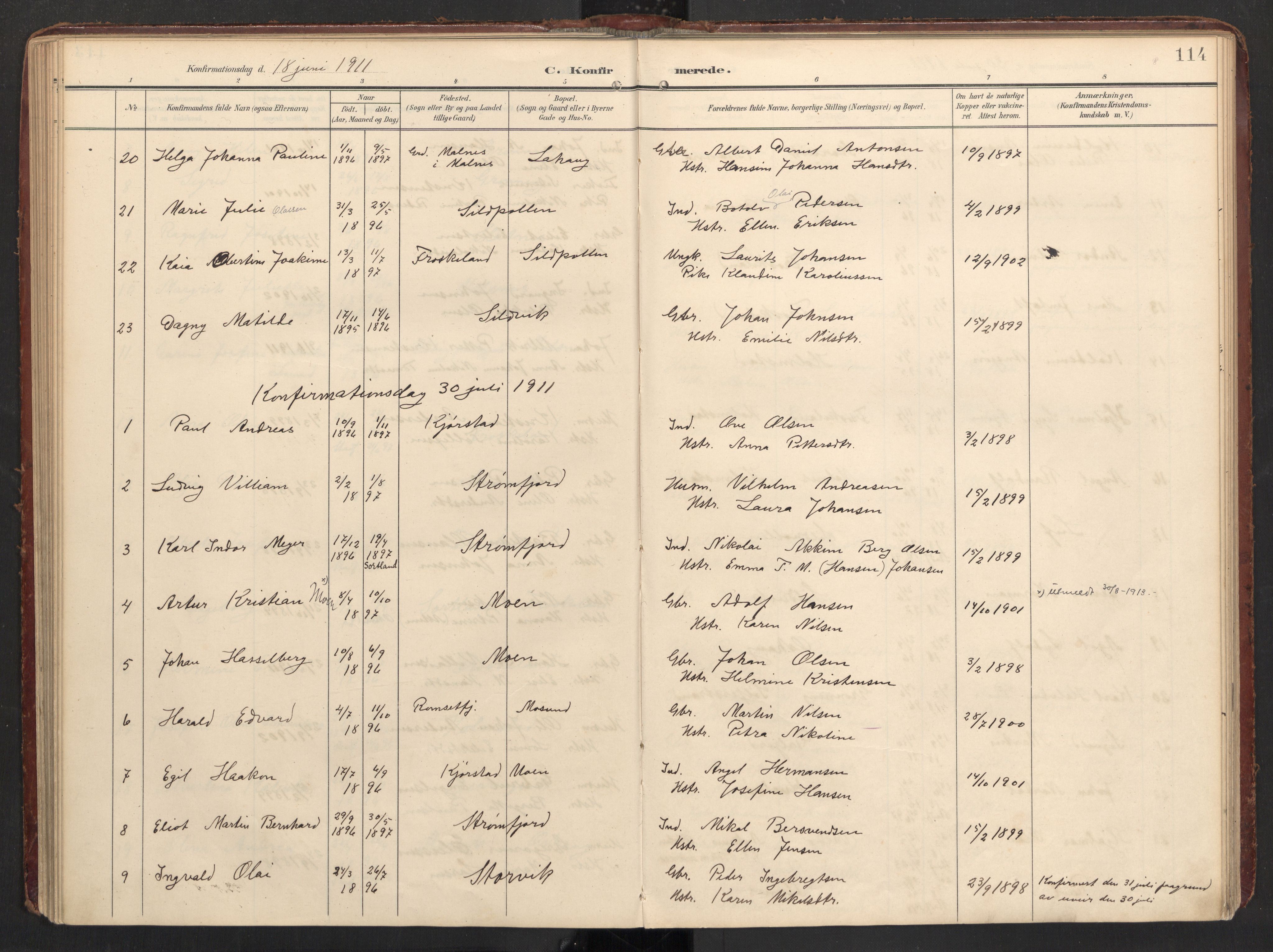 Ministerialprotokoller, klokkerbøker og fødselsregistre - Nordland, AV/SAT-A-1459/890/L1287: Parish register (official) no. 890A02, 1903-1915, p. 114