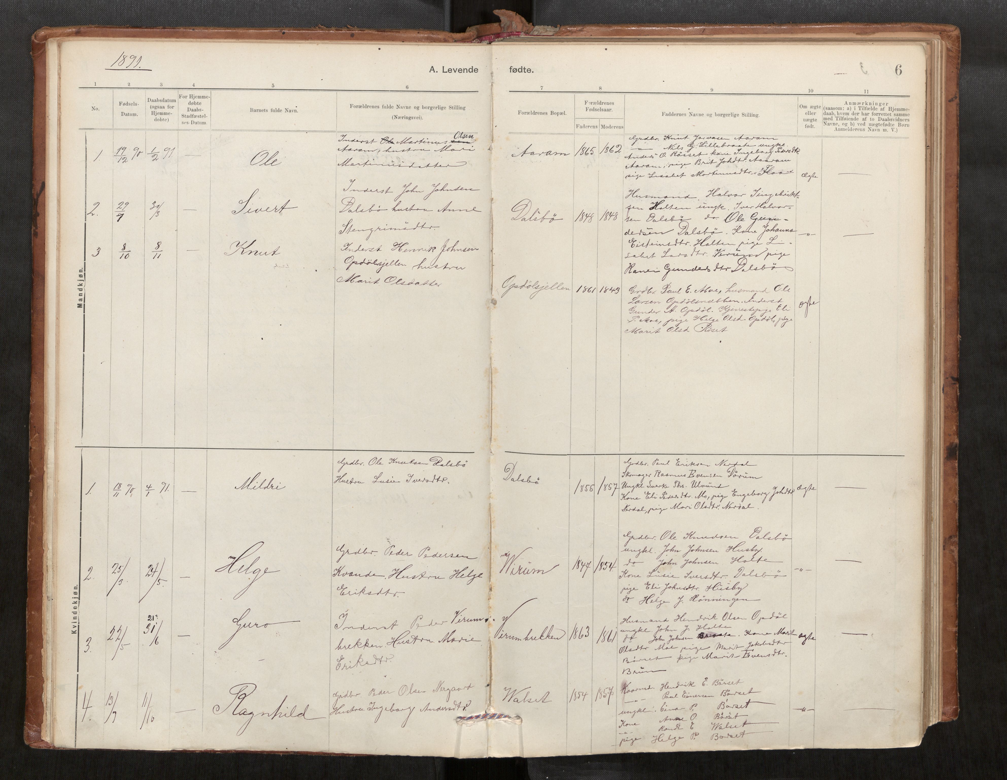 Parish register (official) no. 1, 1886-1908, p. 6