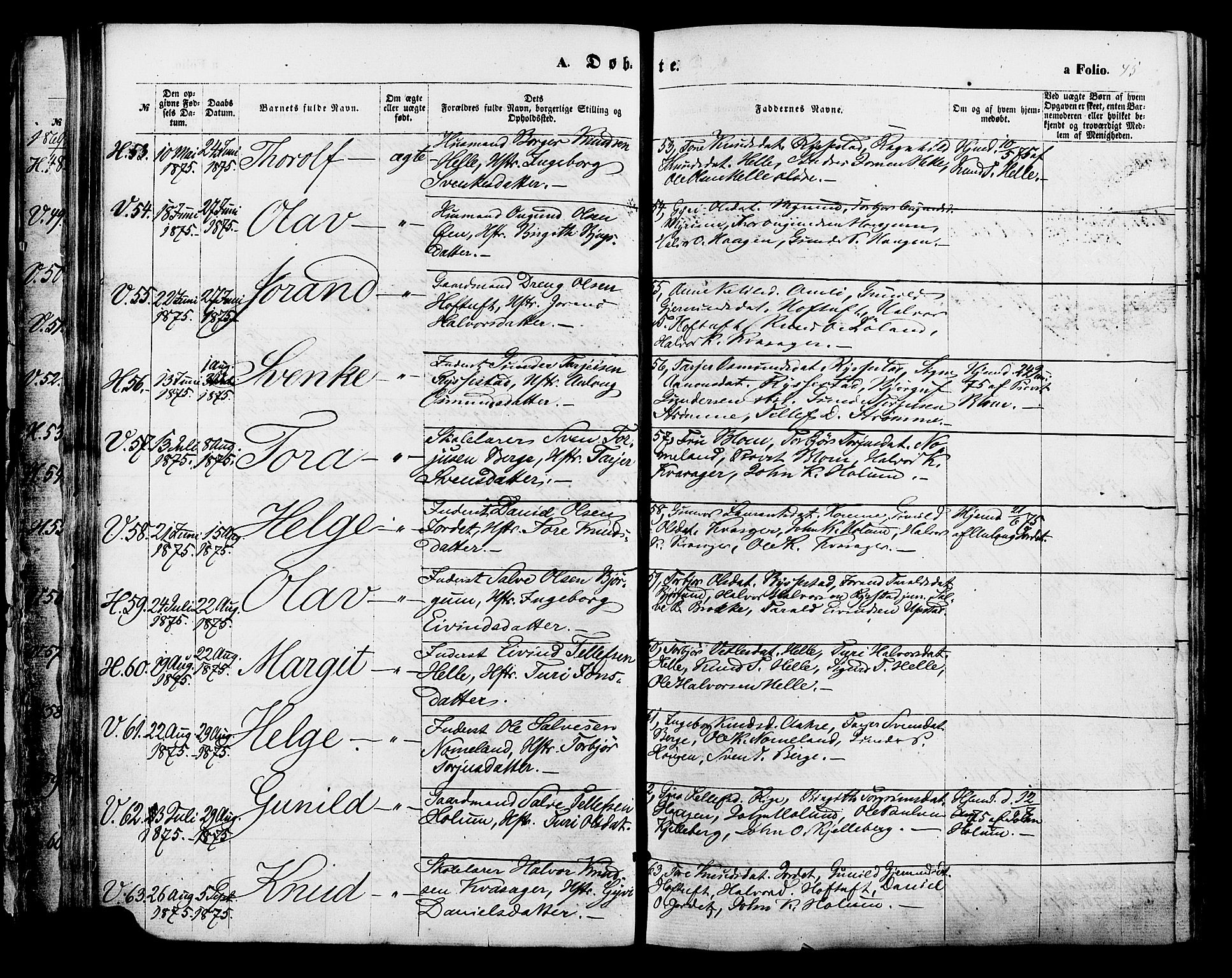 Valle sokneprestkontor, AV/SAK-1111-0044/F/Fa/Fac/L0008: Parish register (official) no. A 8, 1868-1882, p. 45