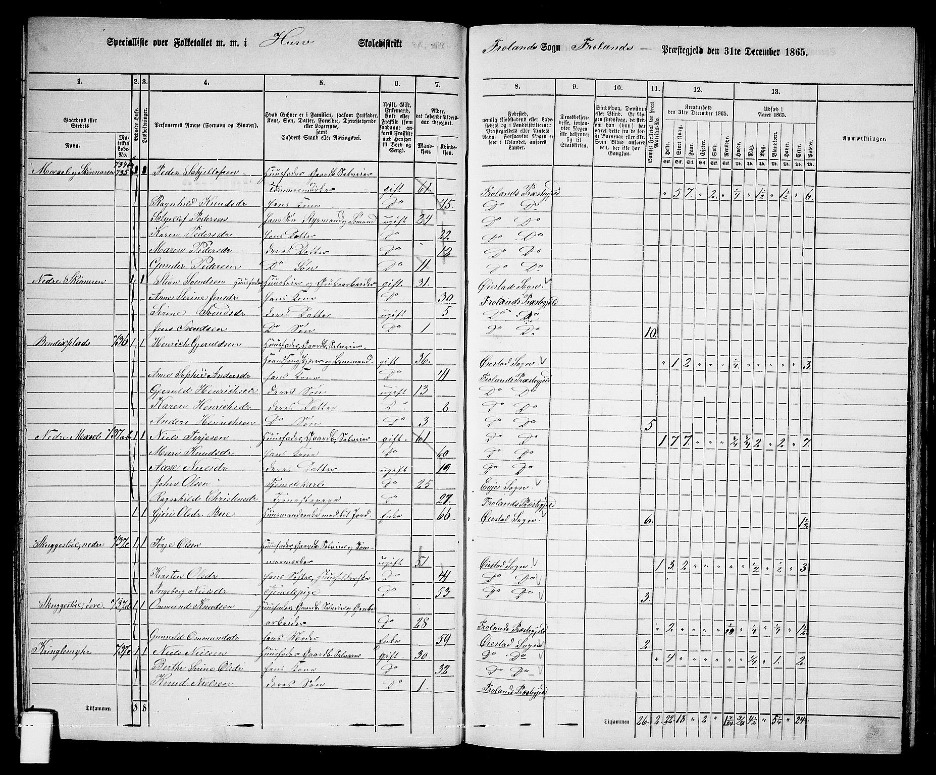 RA, 1865 census for Froland, 1865, p. 26