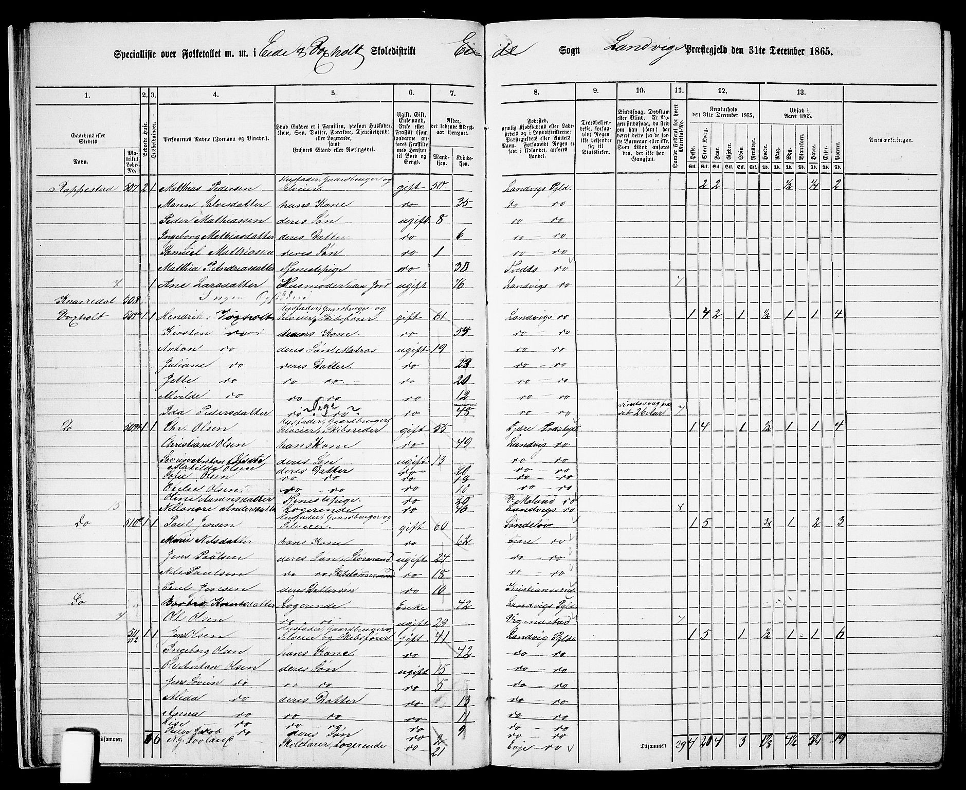 RA, 1865 census for Homedal, 1865, p. 29