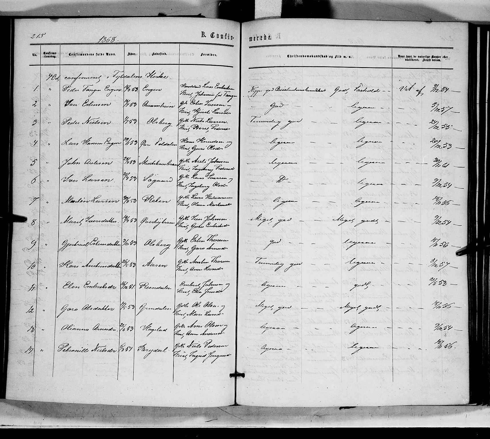 Tynset prestekontor, AV/SAH-PREST-058/H/Ha/Haa/L0021: Parish register (official) no. 21, 1863-1879, p. 215