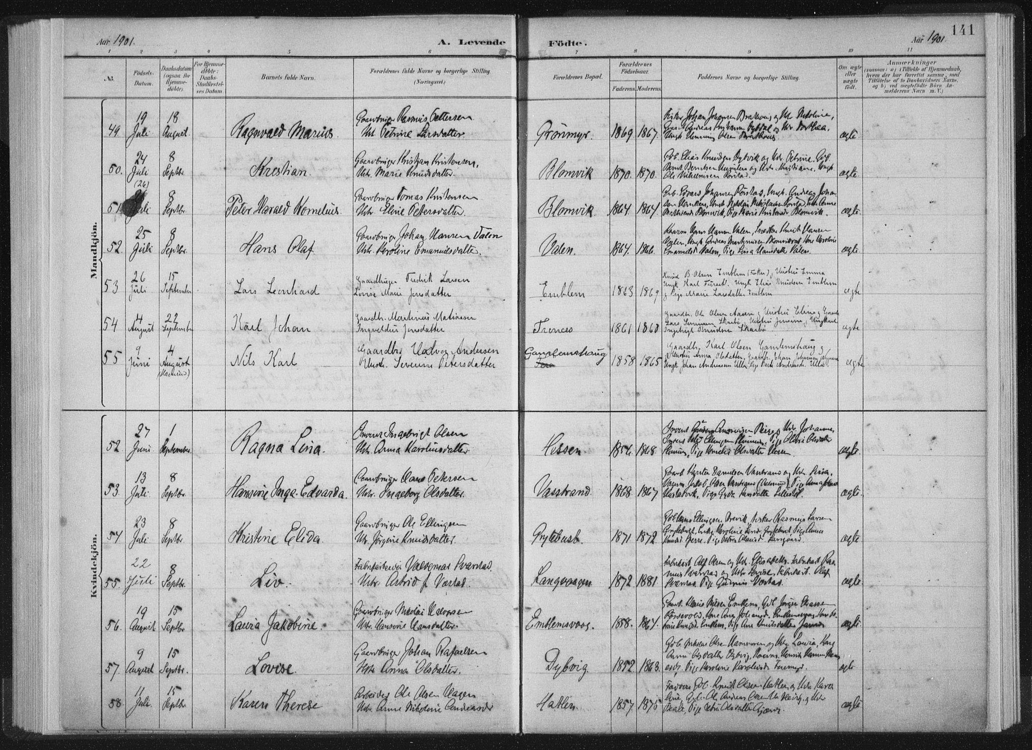 Ministerialprotokoller, klokkerbøker og fødselsregistre - Møre og Romsdal, AV/SAT-A-1454/528/L0405: Parish register (official) no. 528A14, 1891-1906, p. 141